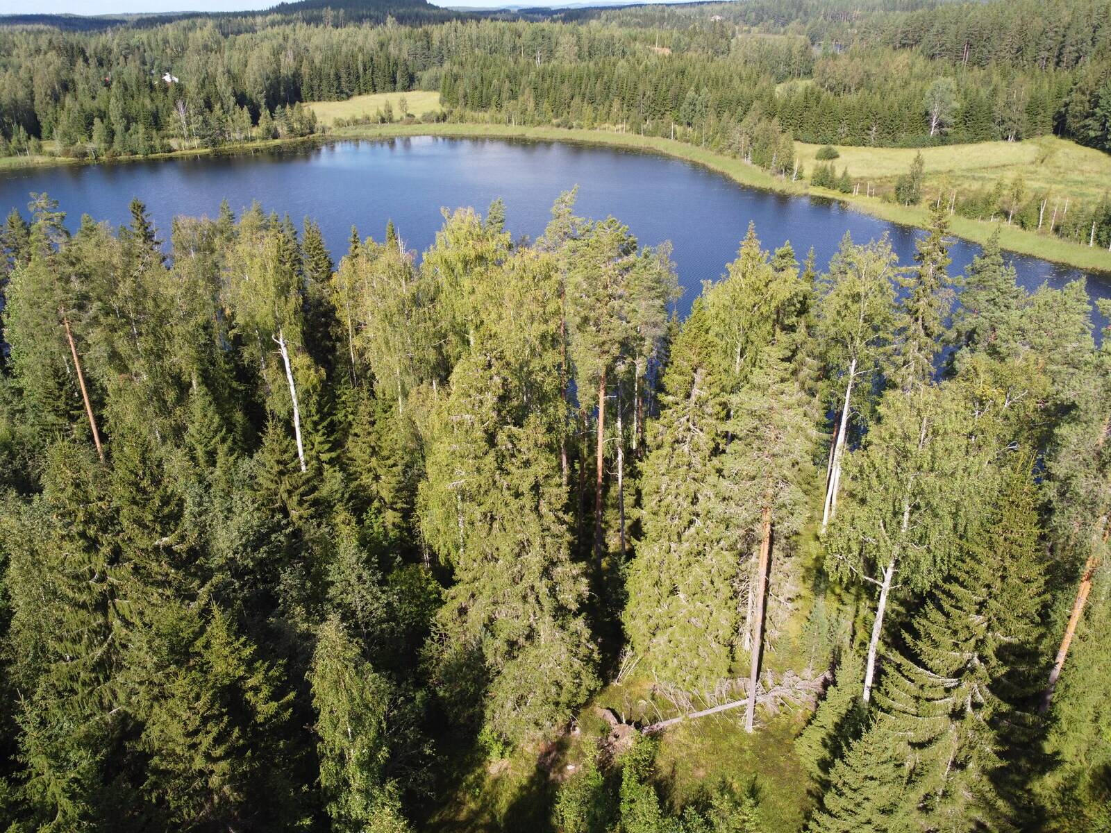 Leppävirrantie -, Räsälä, Kuopio