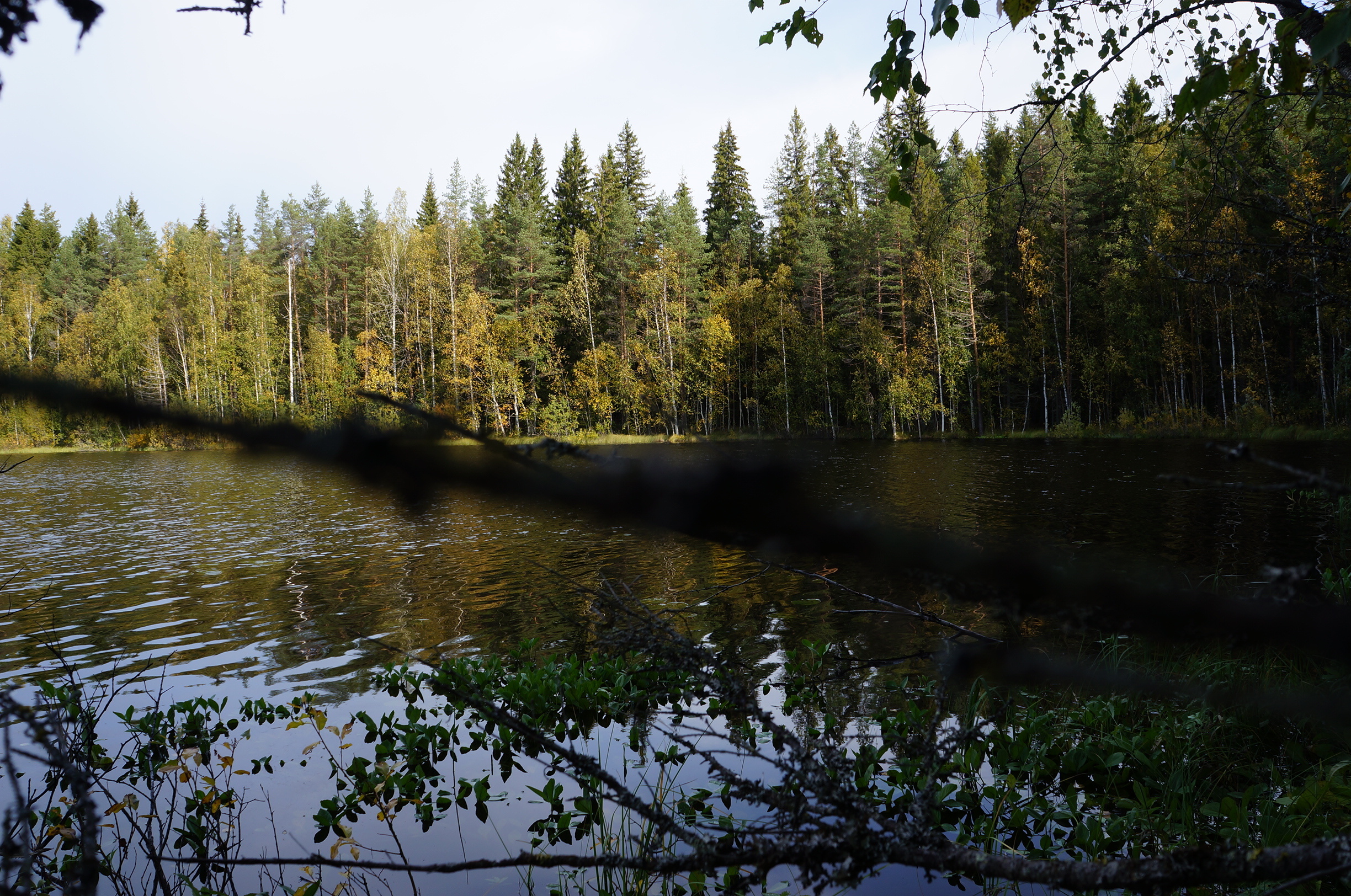 Leppävirrantie -, Räsälä, Kuopio