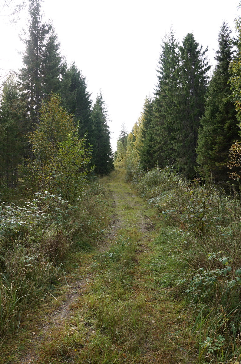 Leppävirrantie -, Räsälä, Kuopio