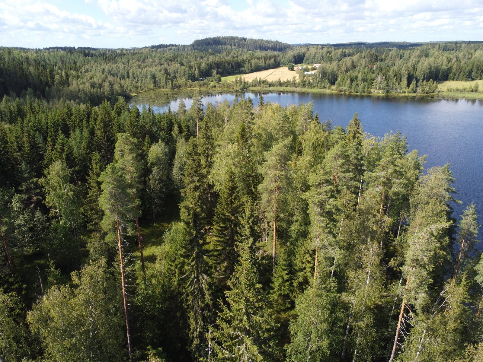 Leppävirrantie -, Räsälä, Kuopio