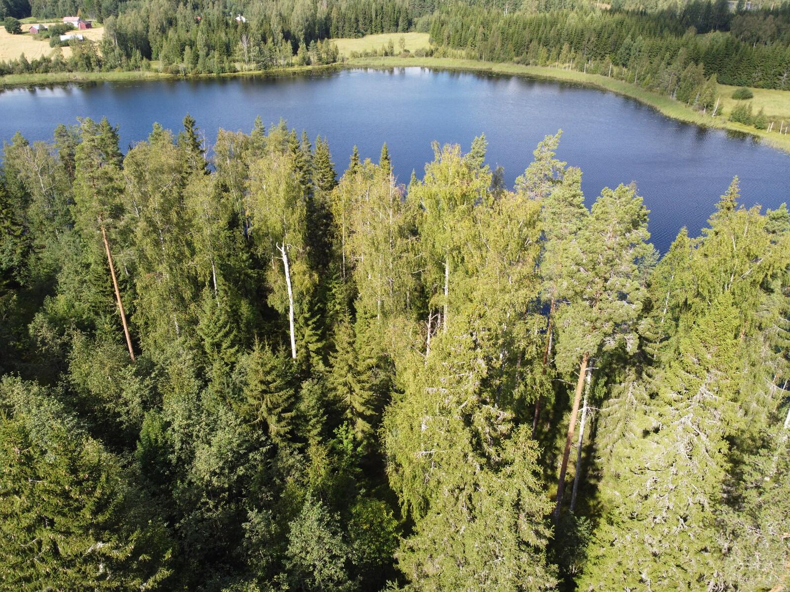 Leppävirrantie -, Räsälä, Kuopio