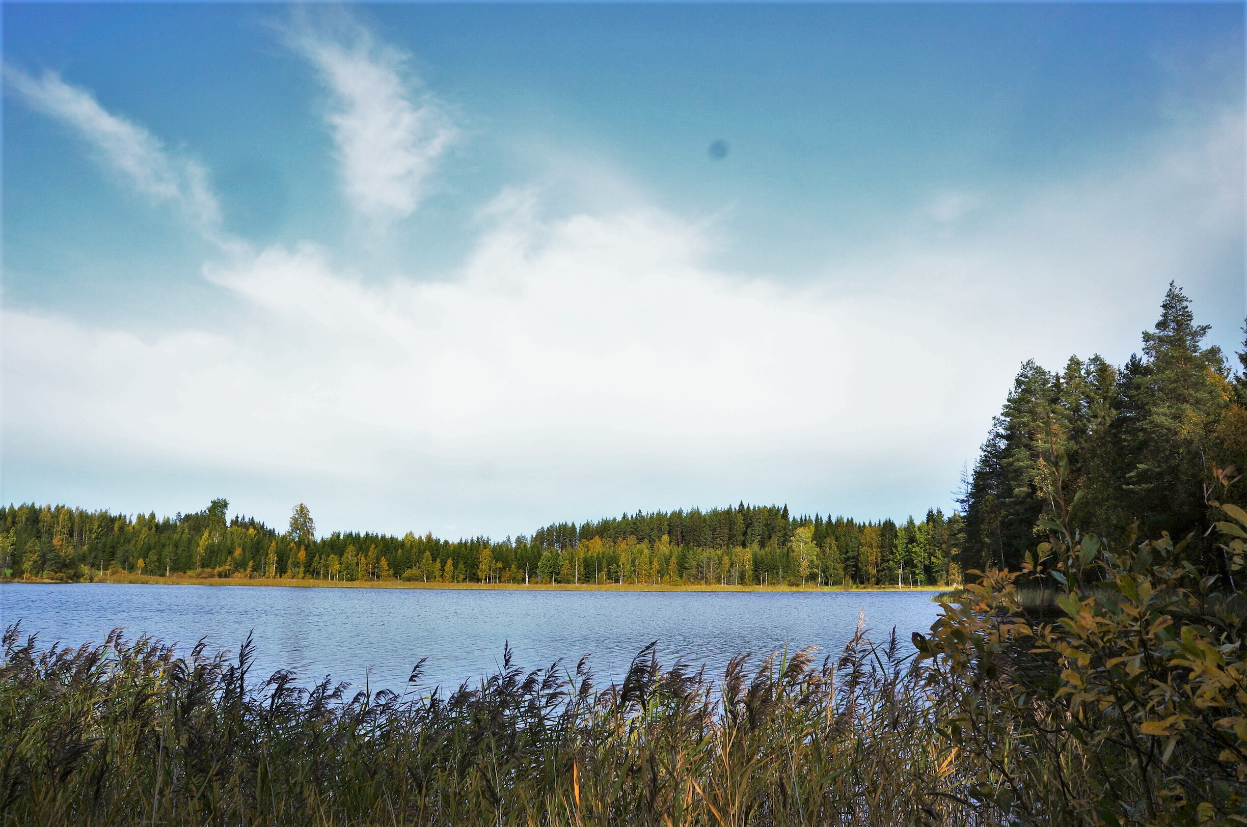Leppävirrantie -, Räsälä, Kuopio