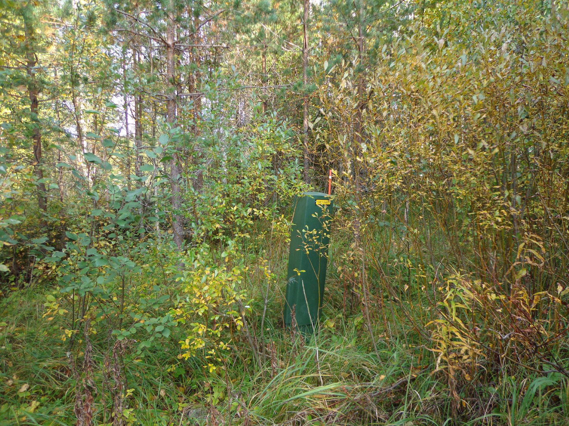 Leppävirrantie -, Räsälä, Kuopio