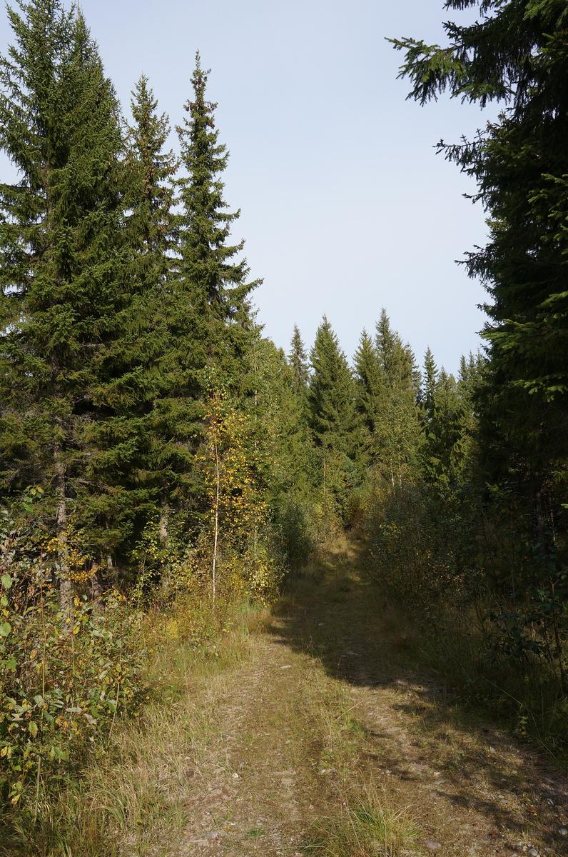 Leppävirrantie -, Räsälä, Kuopio