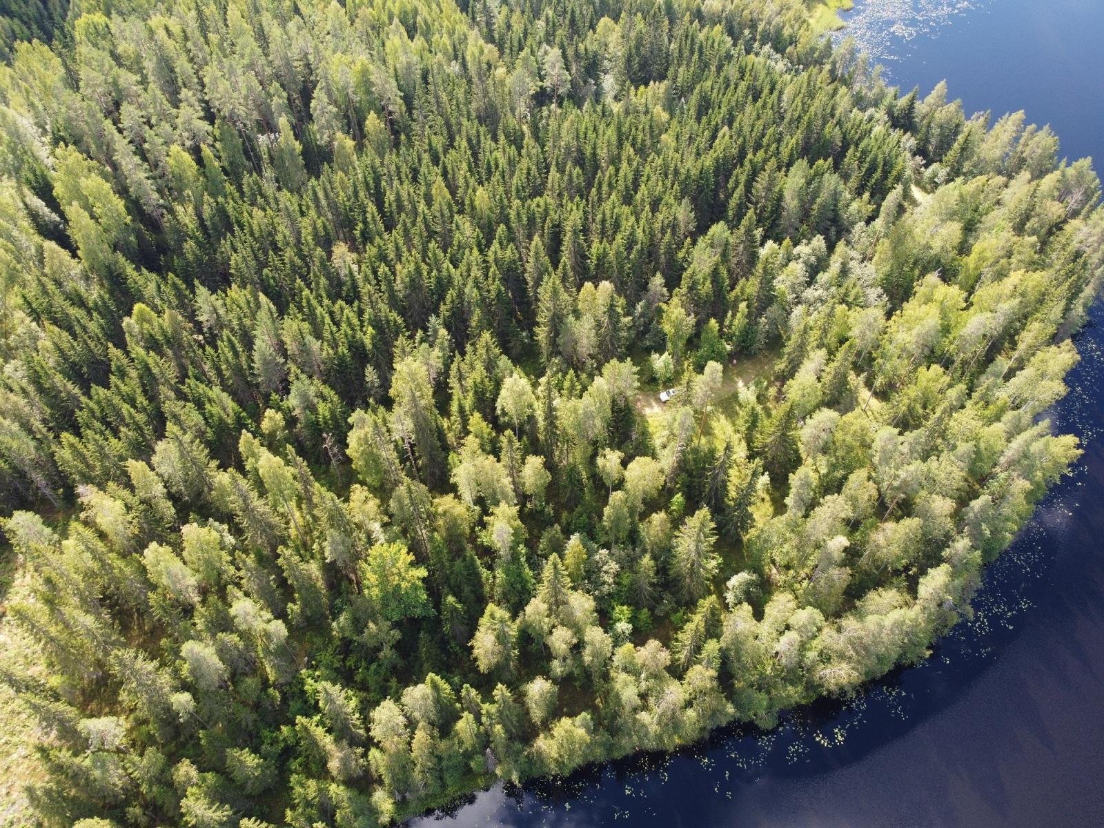 Leppävirrantie -, Räsälä, Kuopio