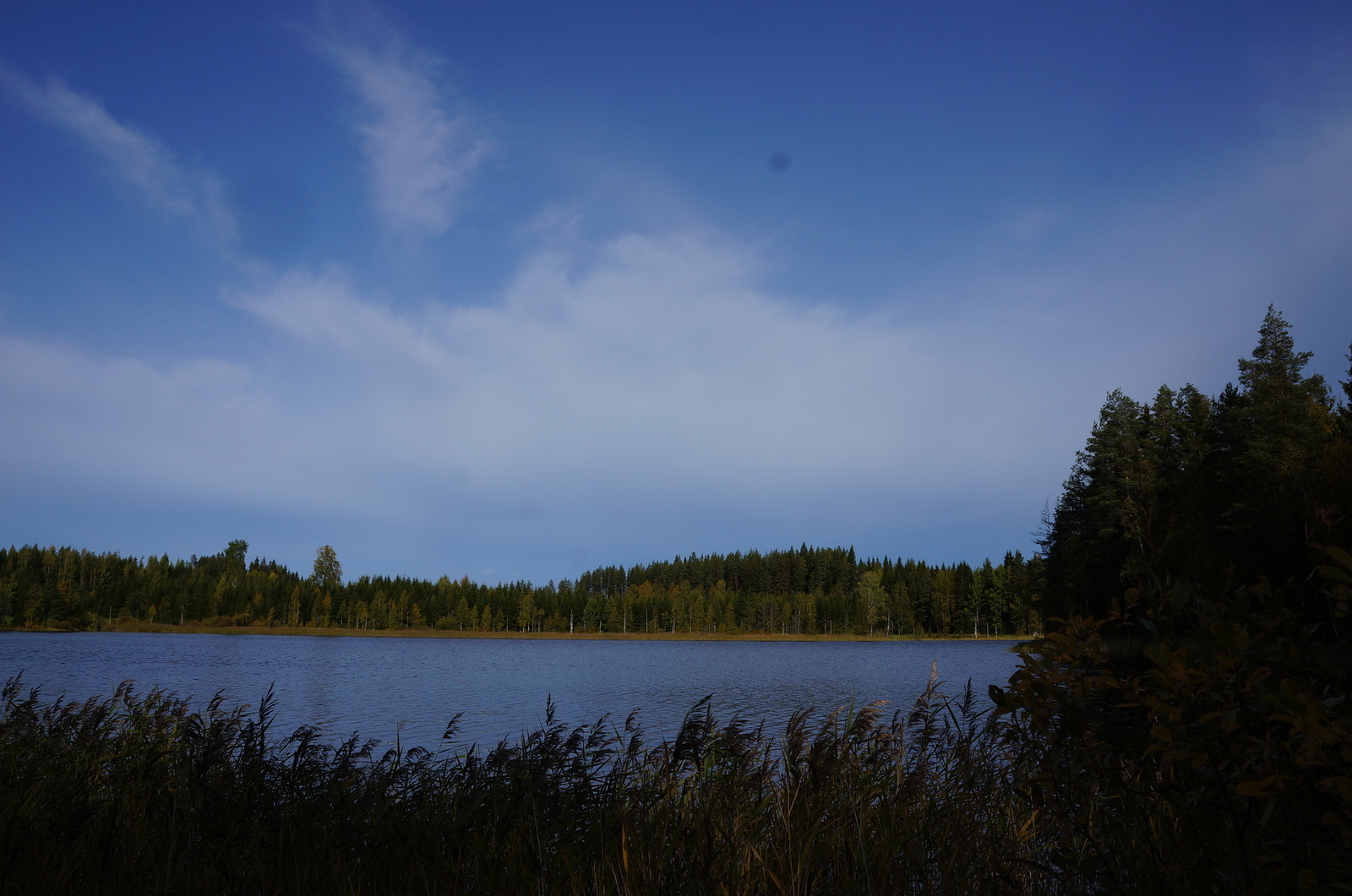 Leppävirrantie -, Räsälä, Kuopio