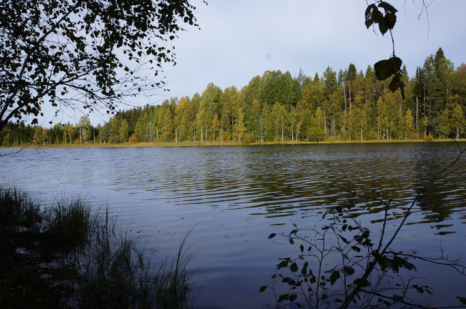 Leppävirrantie -, Räsälä, Kuopio