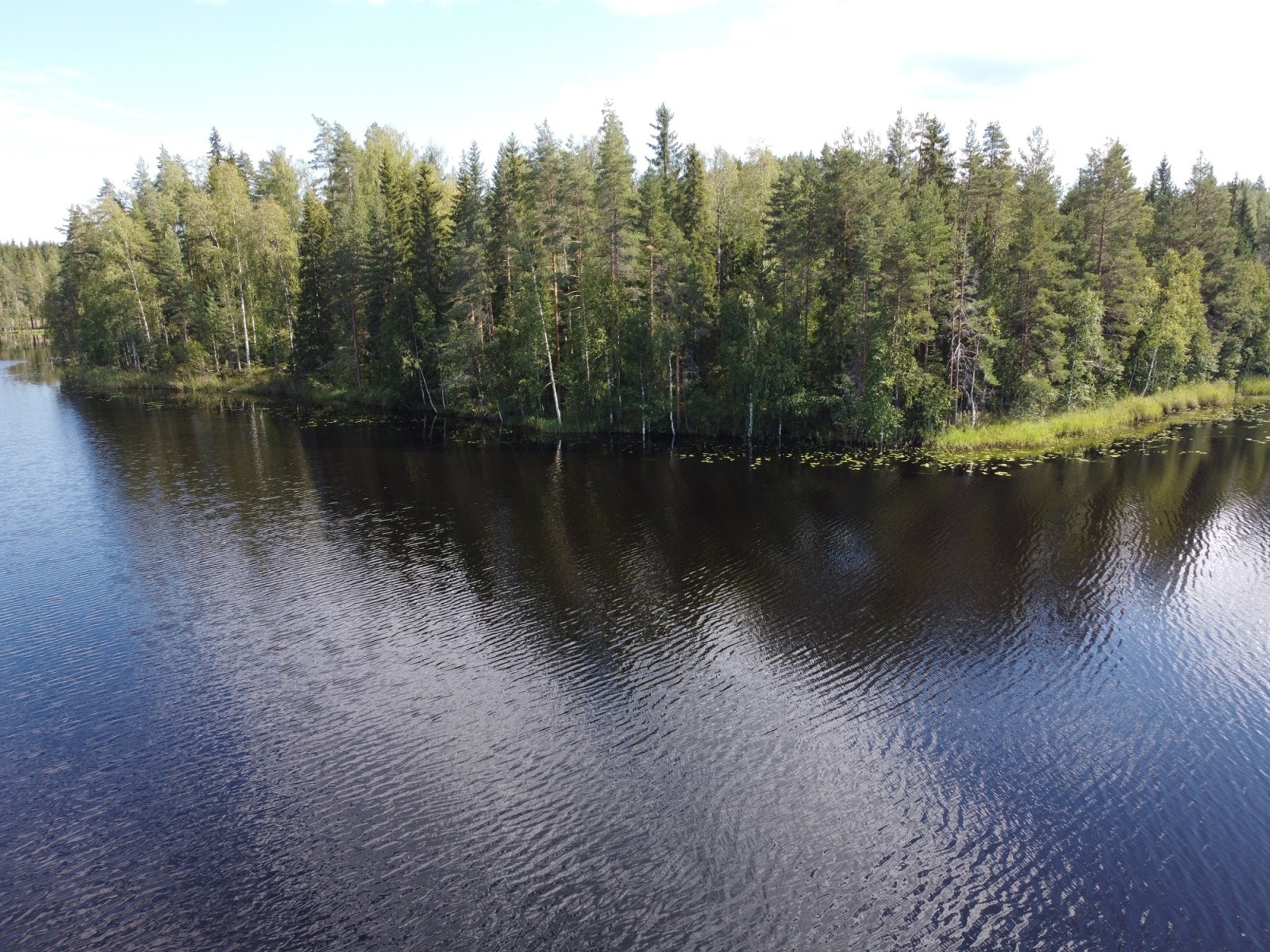 Leppävirrantie -, Räsälä, Kuopio