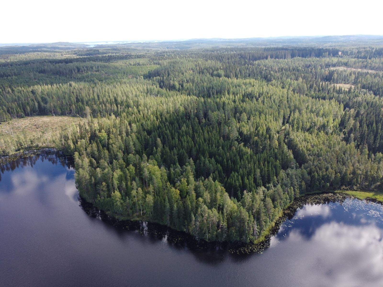 Leppävirrantie -, Räsälä, Kuopio
