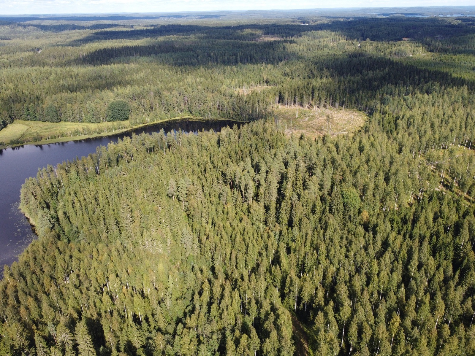 Leppävirrantie -, Räsälä, Kuopio