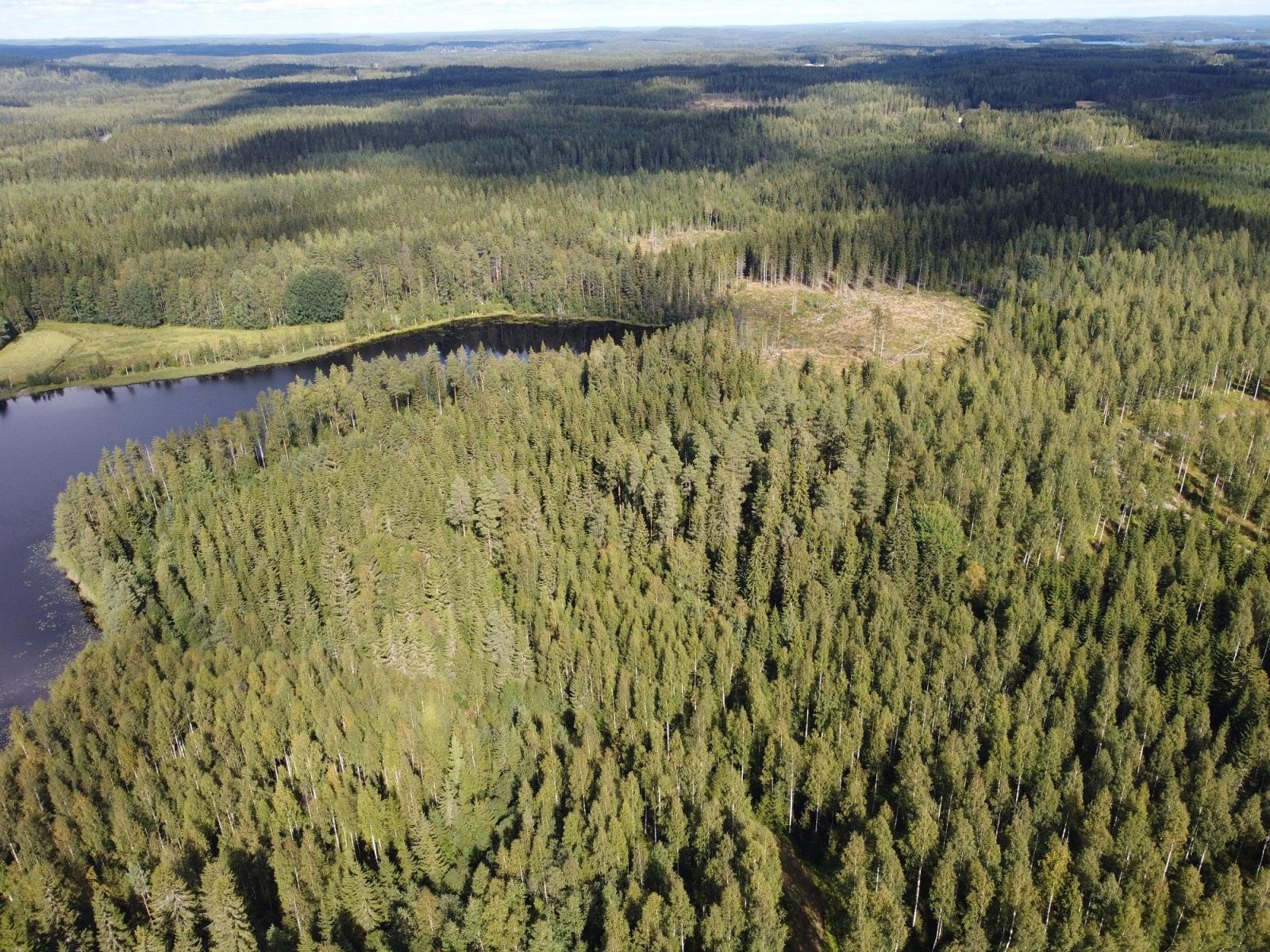 Leppävirrantie -, Räsälä, Kuopio