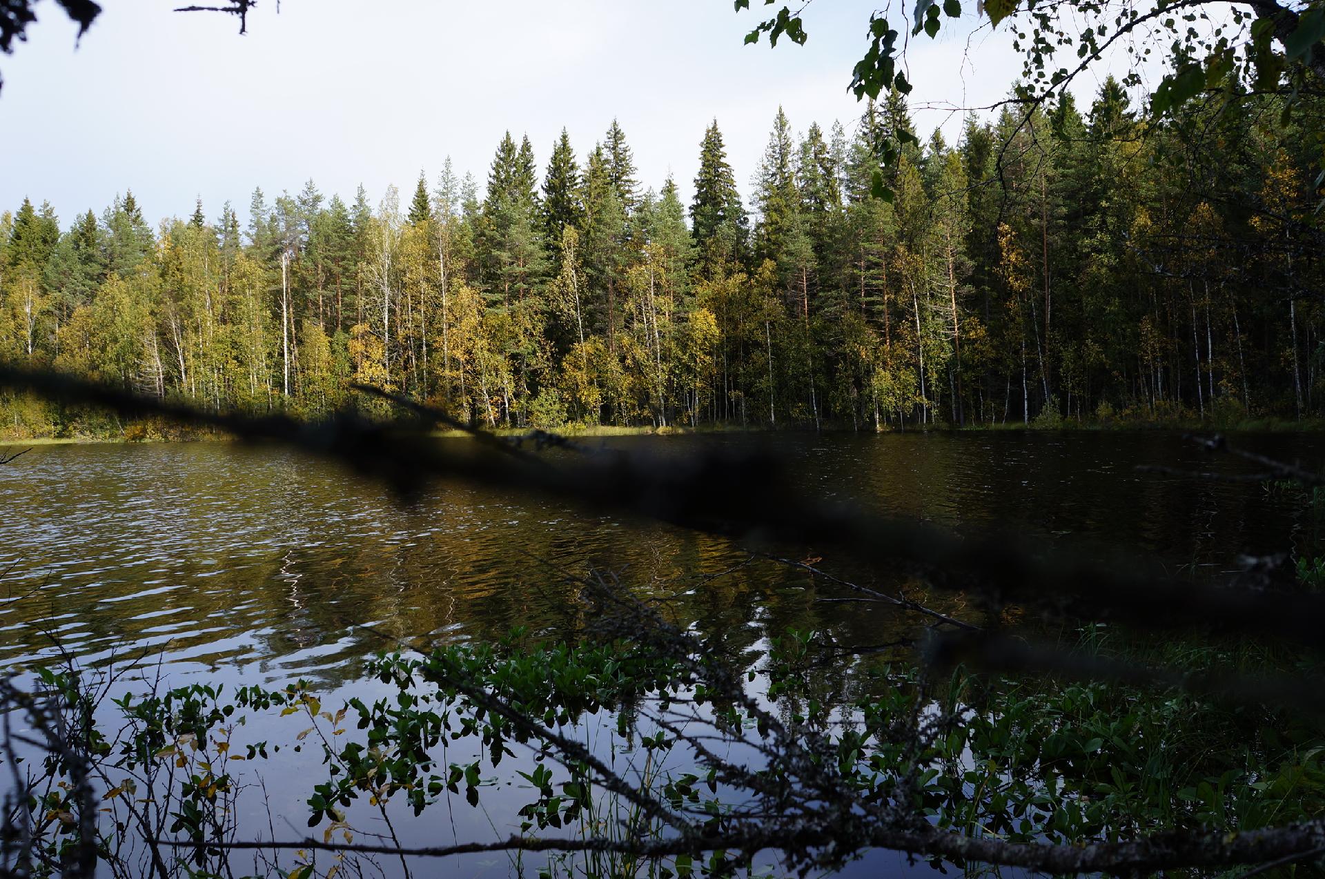 Leppävirrantie -, Räsälä, Kuopio
