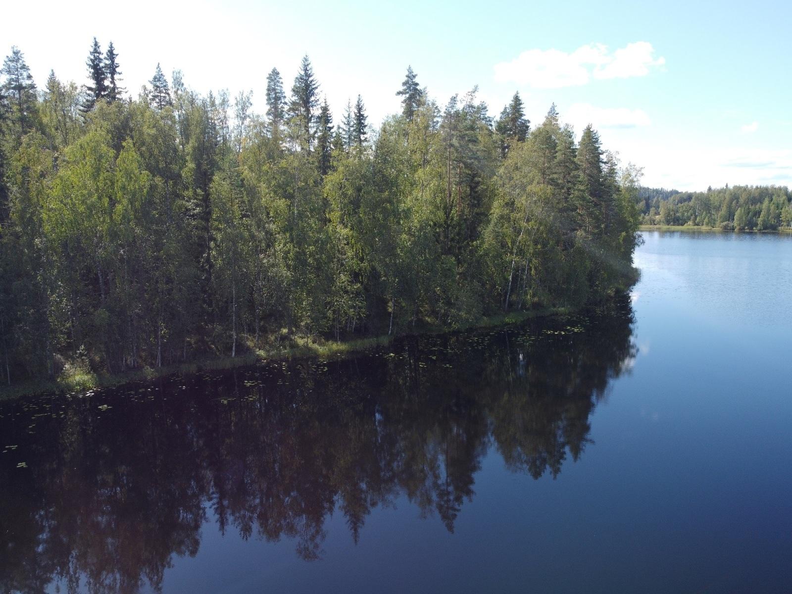 Leppävirrantie -, Räsälä, Kuopio