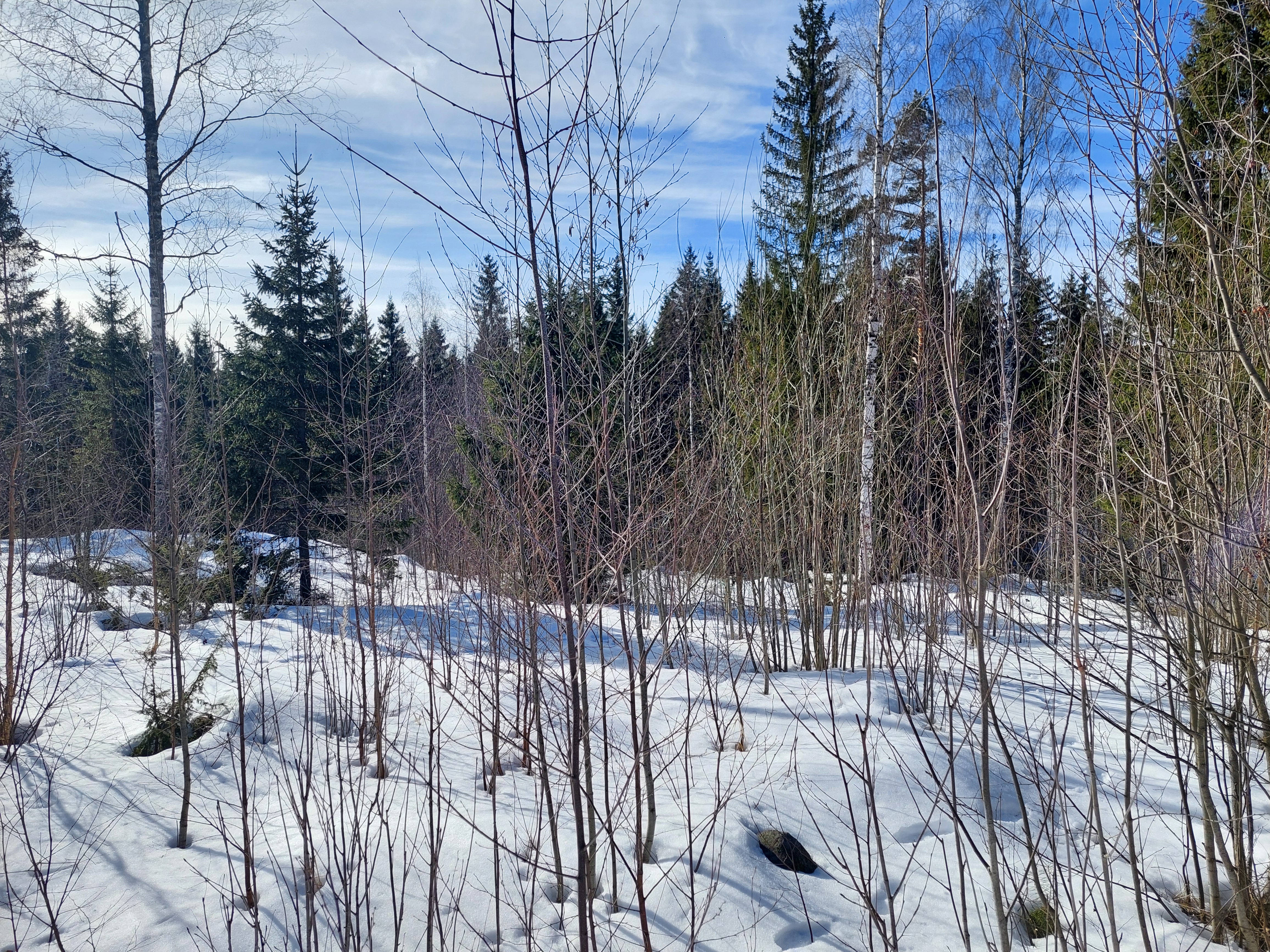 Sininentie 747, Syvänniemi, Kuopio