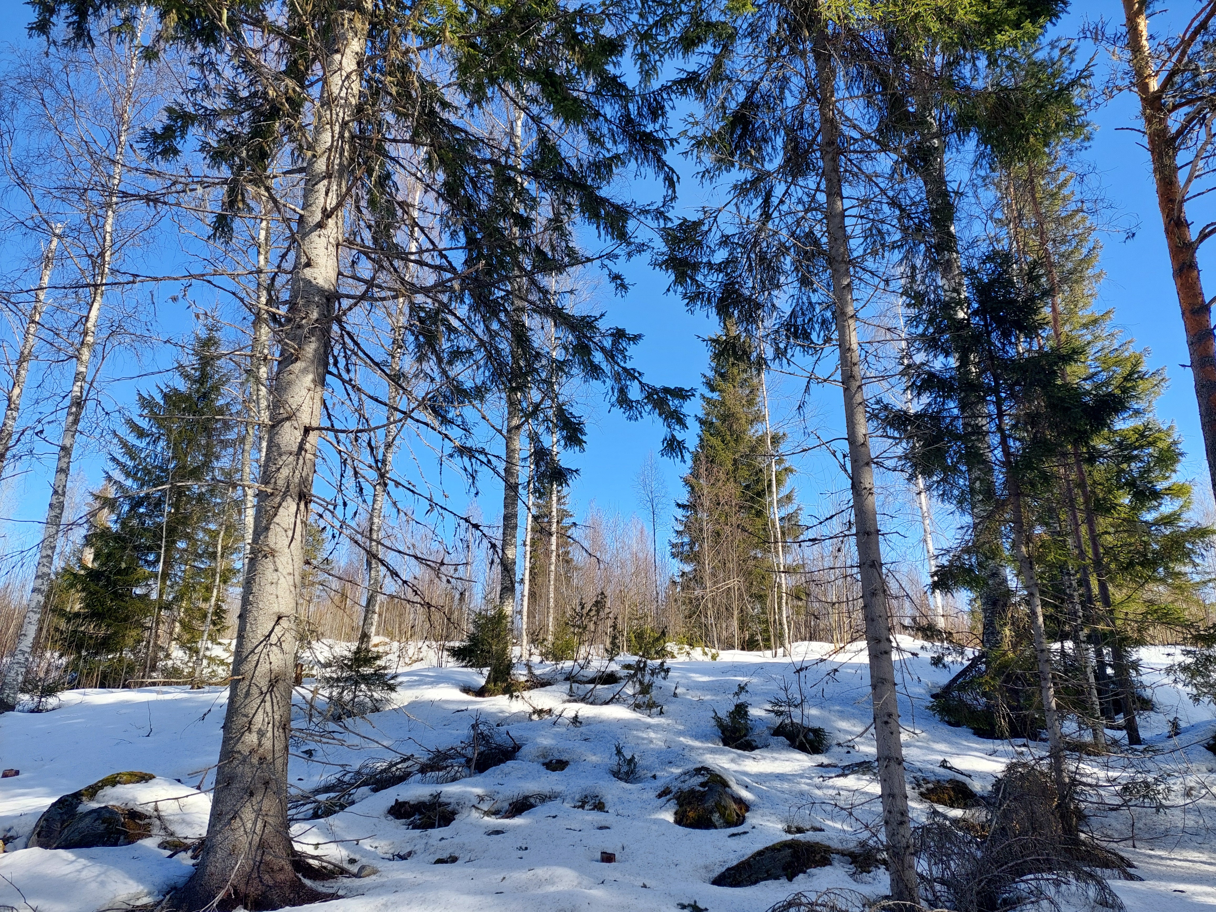 Sininentie 747, Syvänniemi, Kuopio