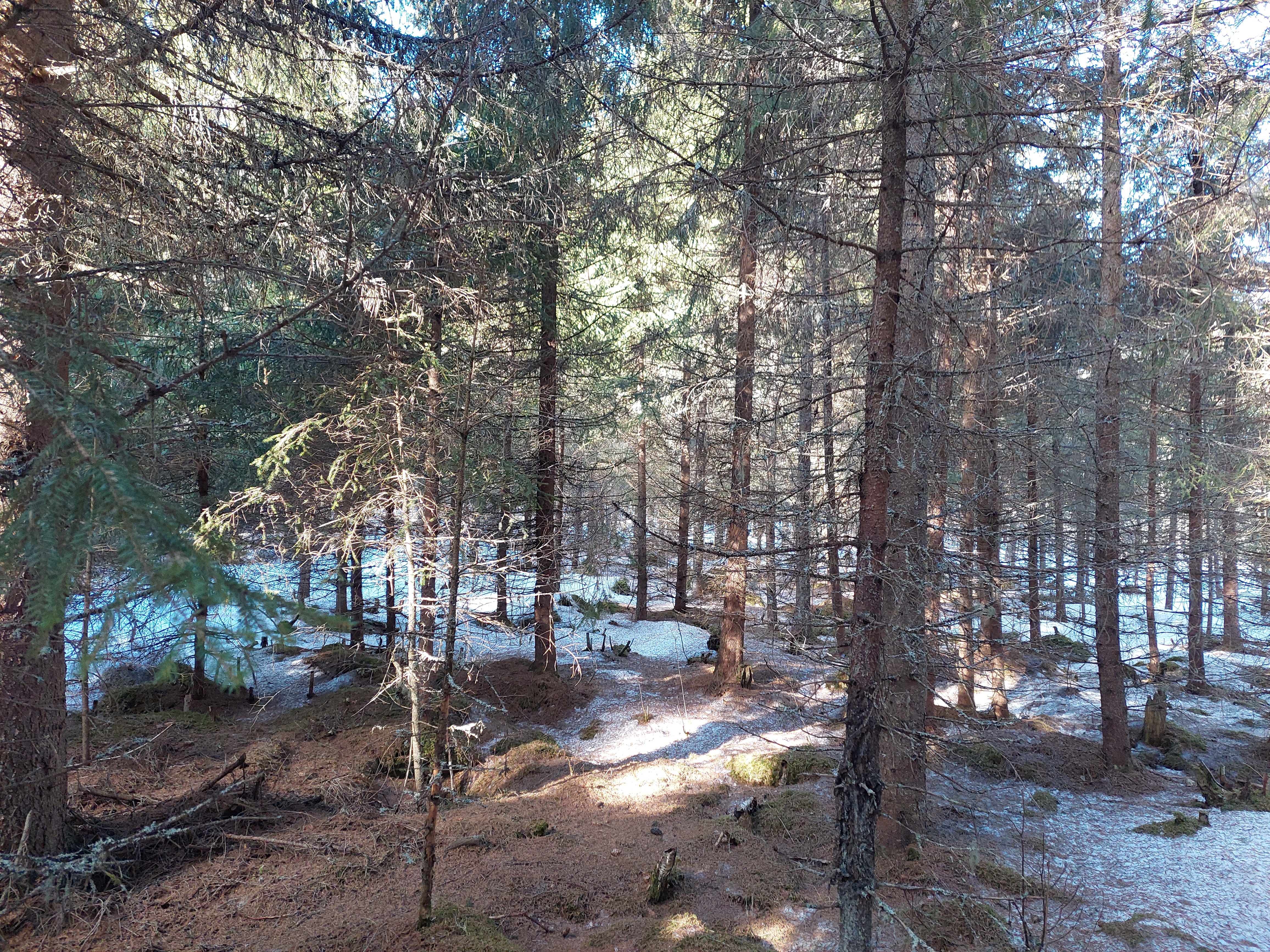 Sininentie 747, Syvänniemi, Kuopio