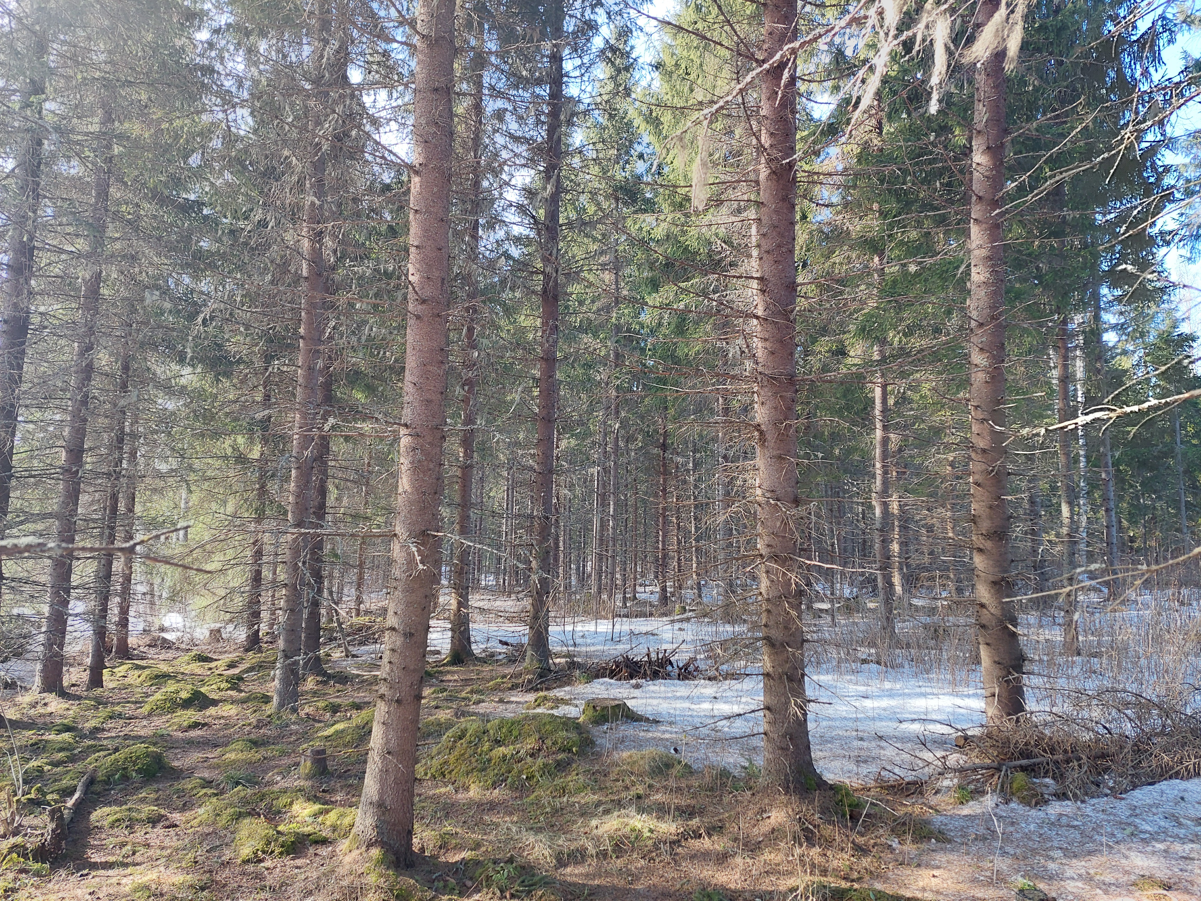 Sininentie 747, Syvänniemi, Kuopio