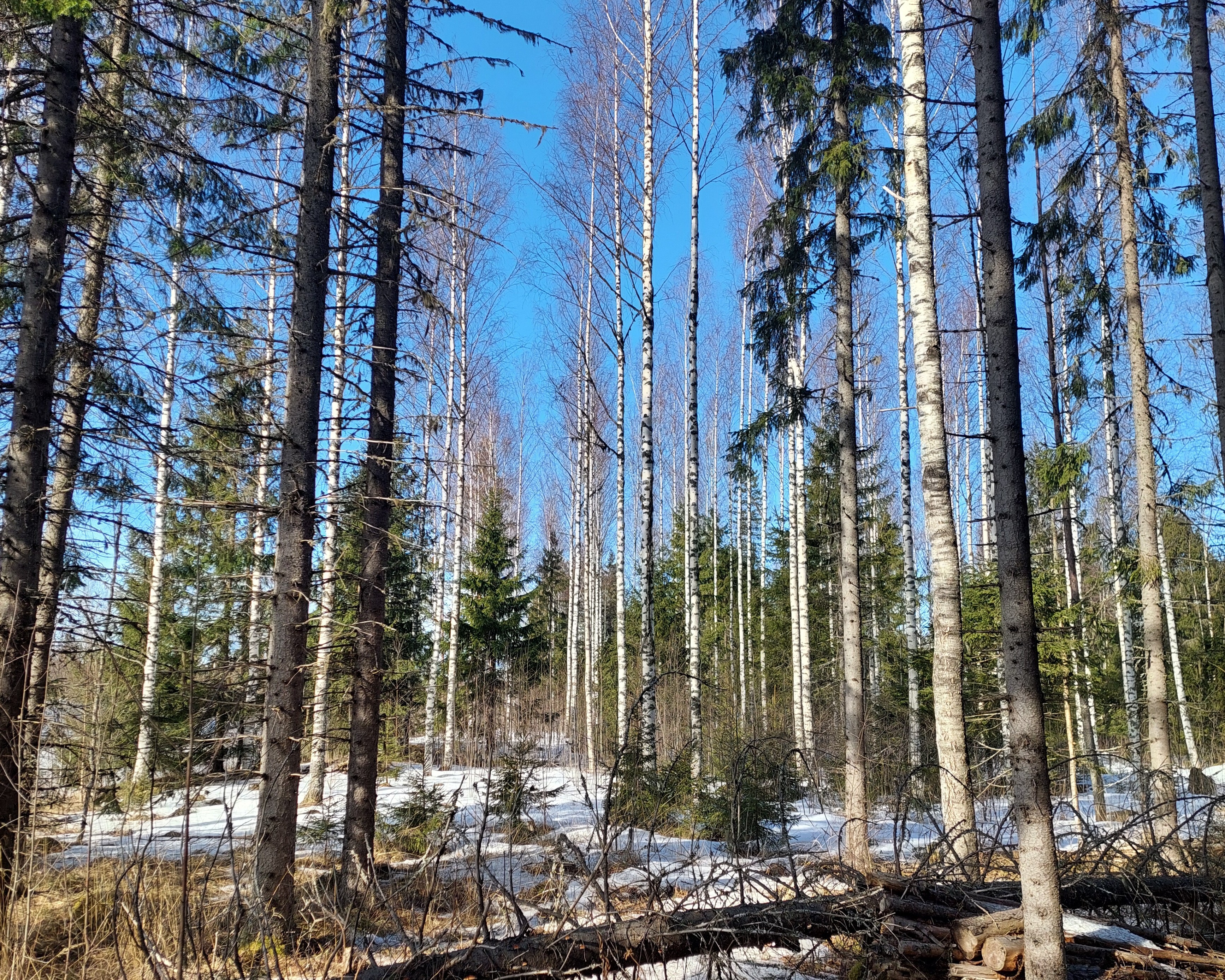 Sininentie 747, Syvänniemi, Kuopio