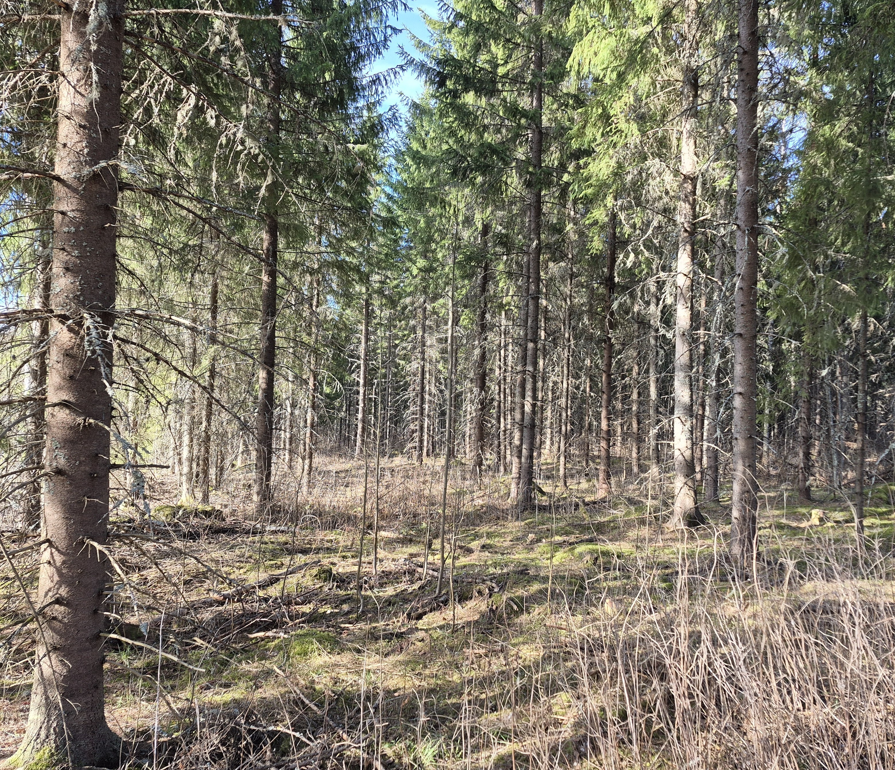 Sininentie 747, Syvänniemi, Kuopio
