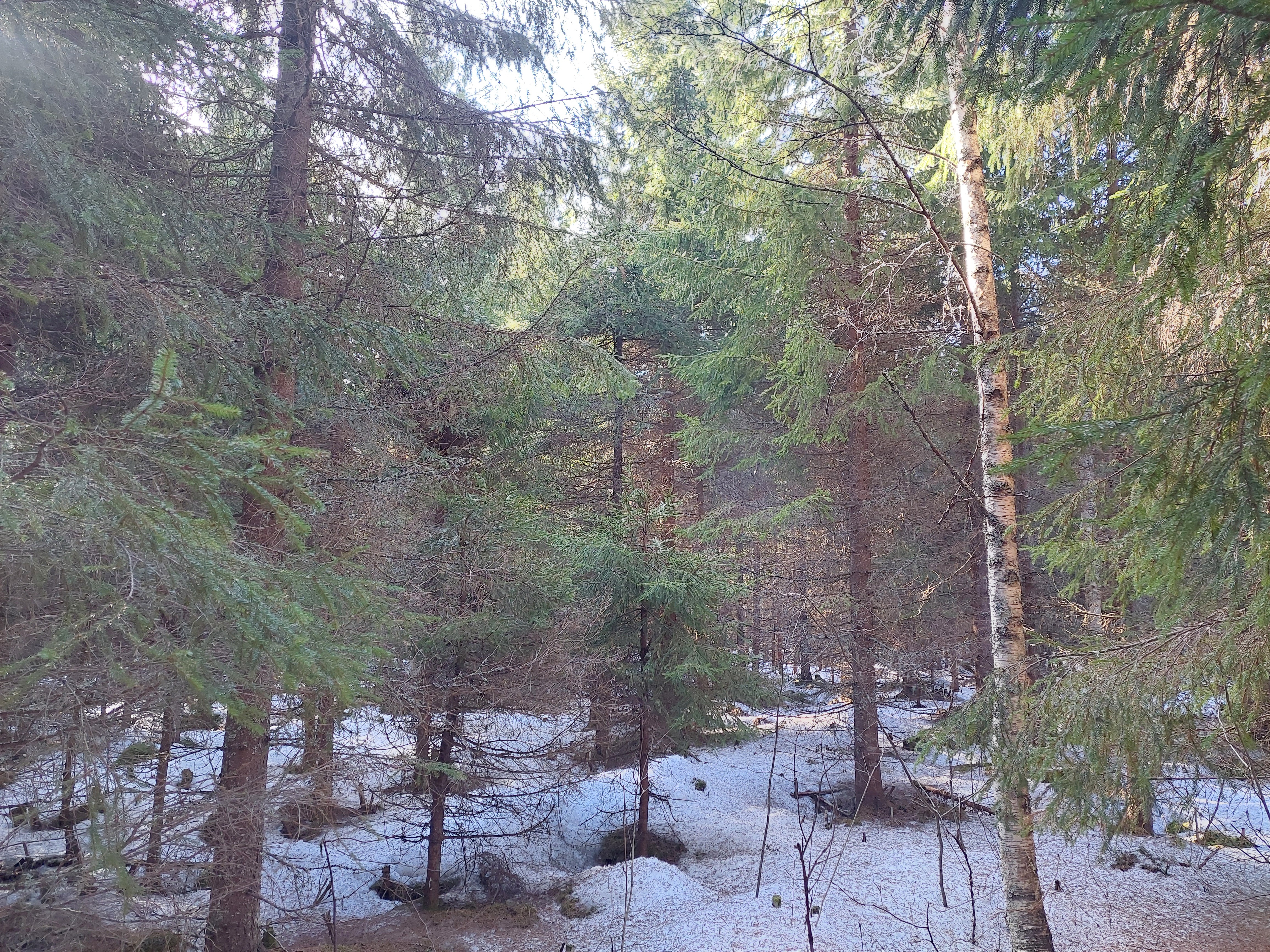 Sininentie 747, Syvänniemi, Kuopio