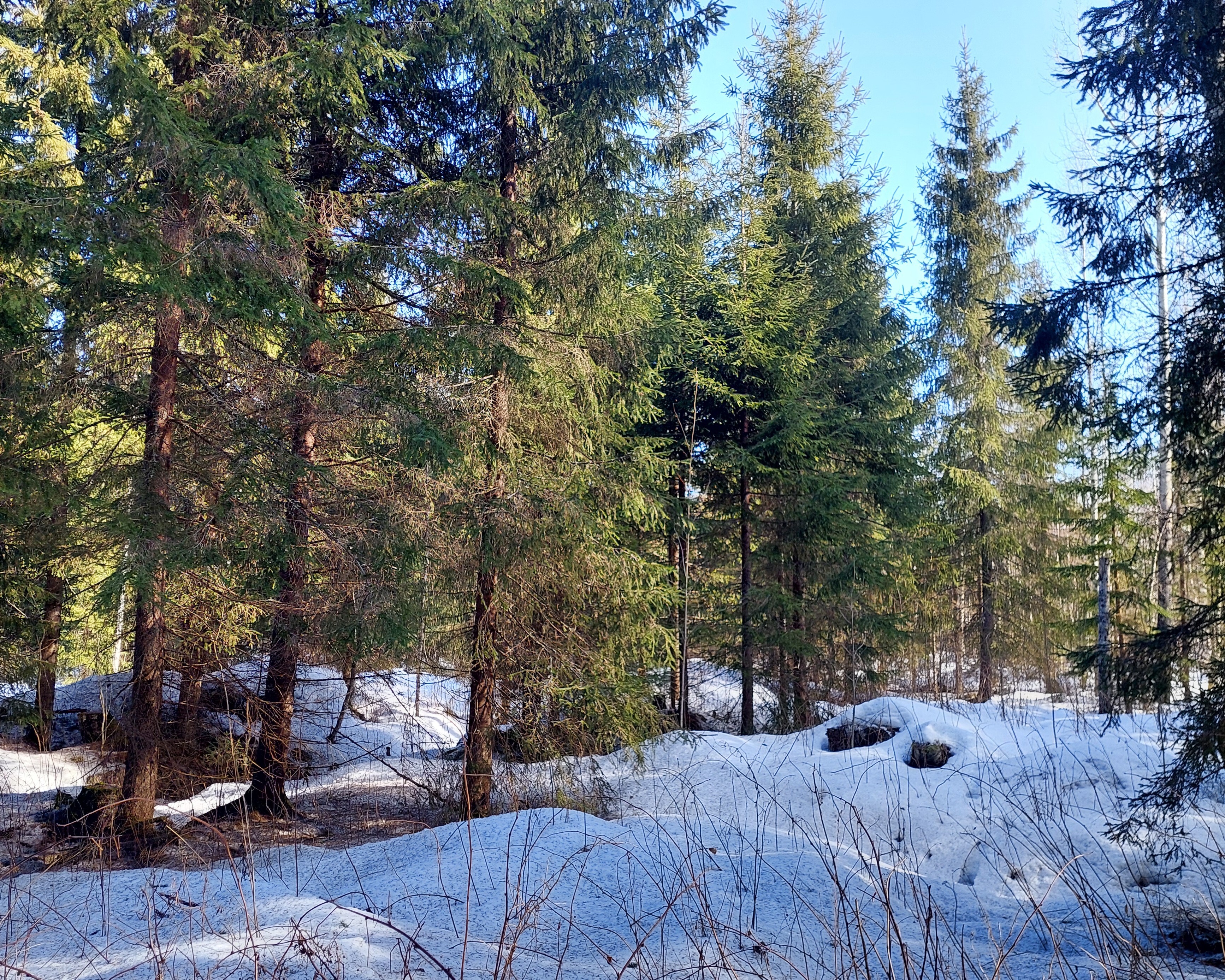 Sininentie 747, Syvänniemi, Kuopio