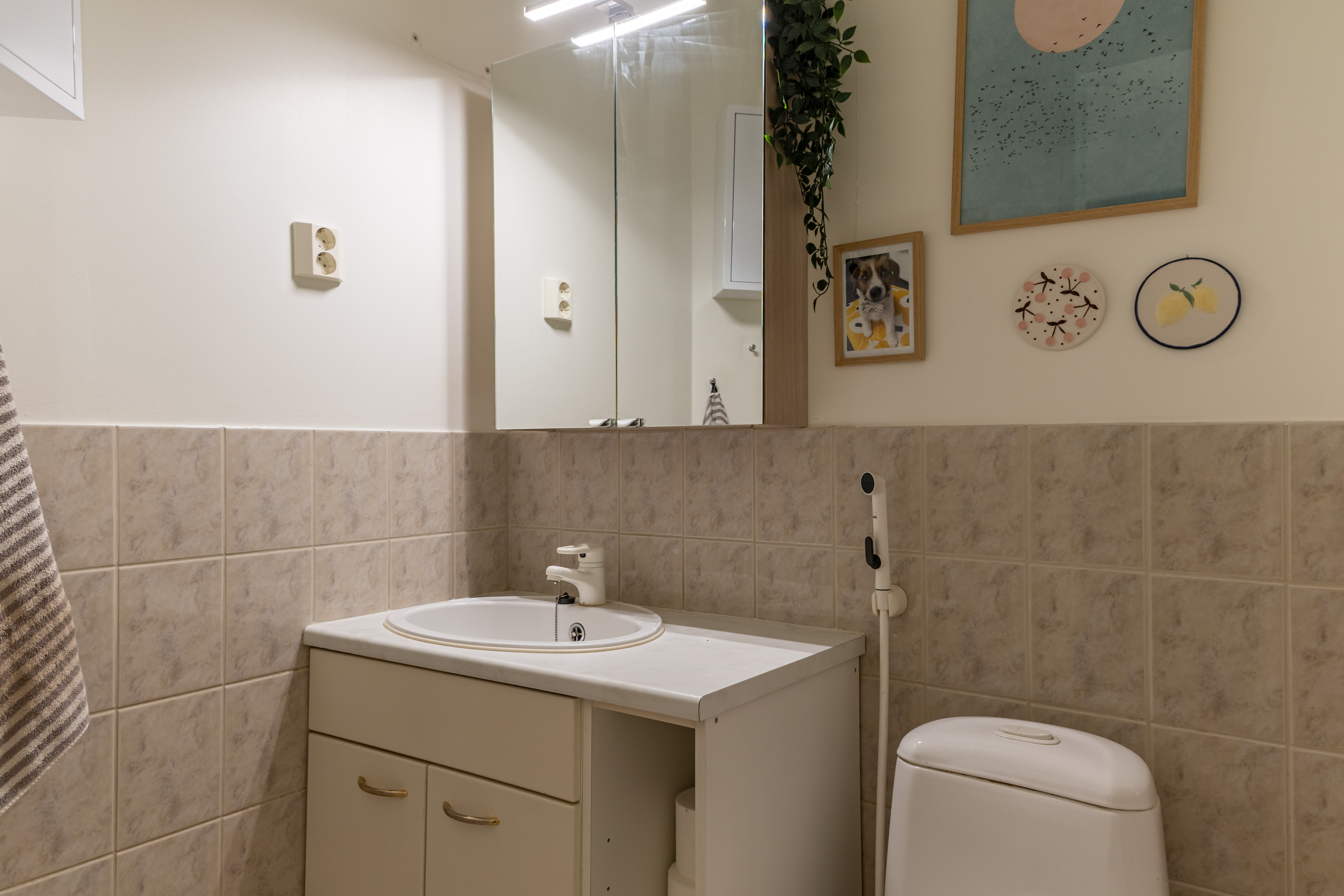 Erillinen wc