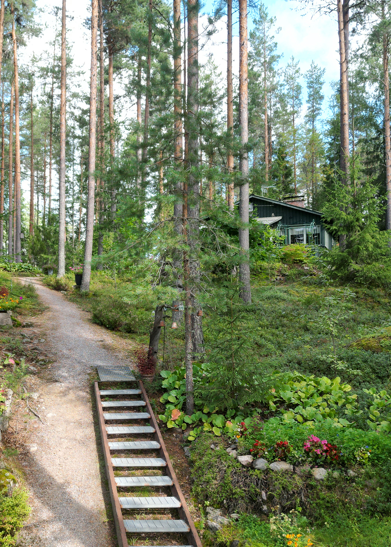 Päämökille menevää maastoa/polkua.   
