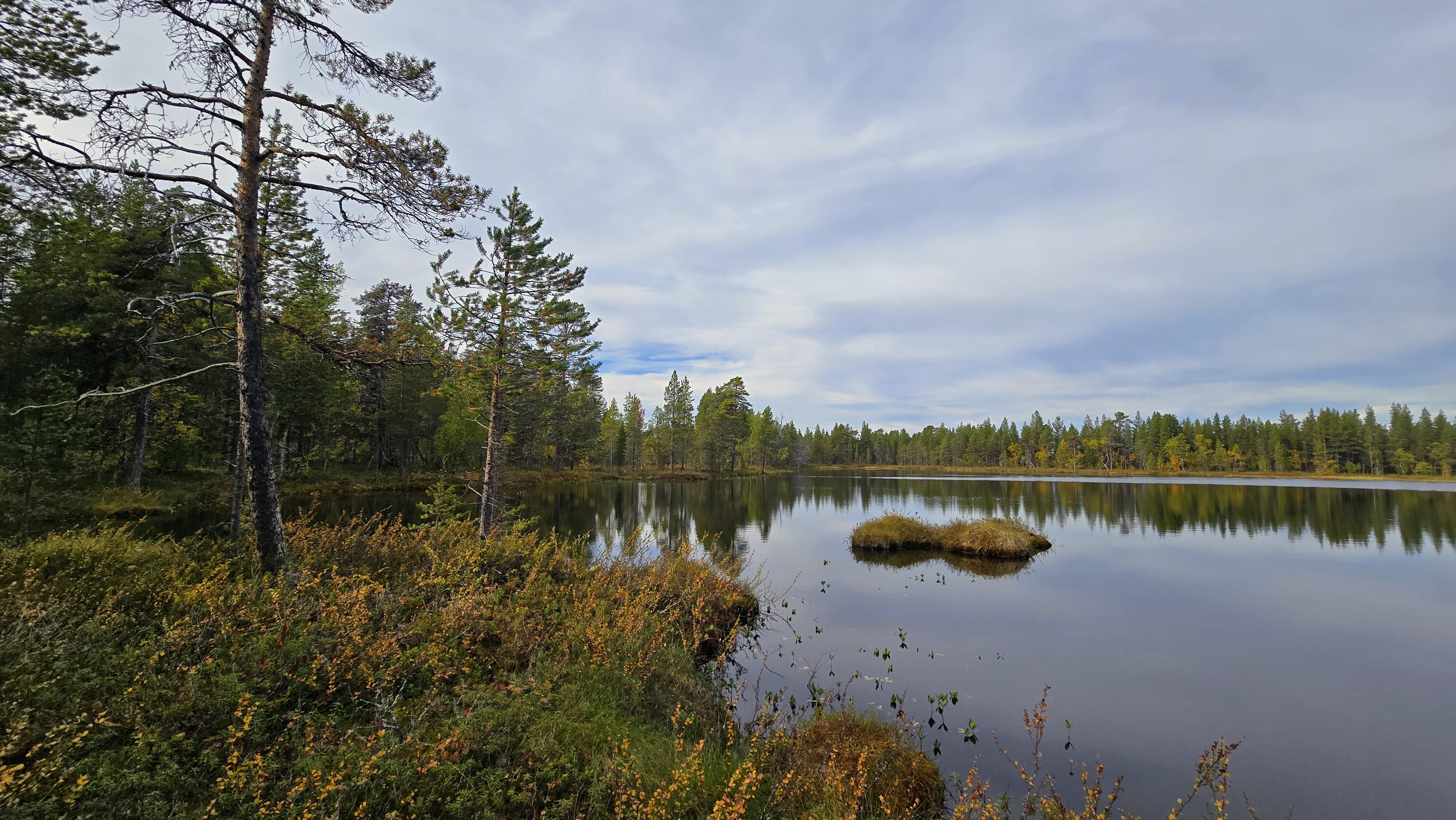 Lammen länsilaidan rantaa pohjoisen suuntaan.