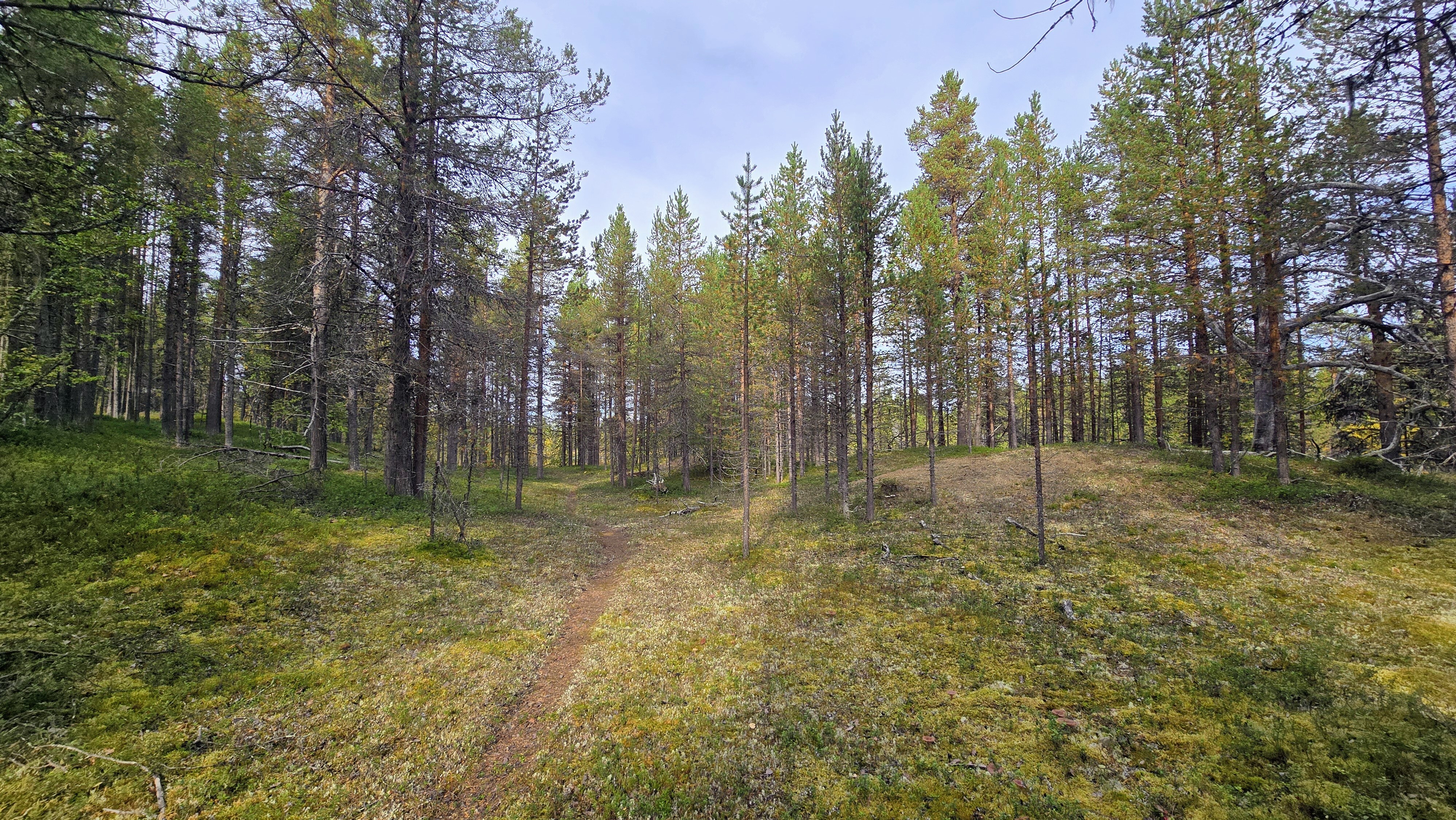 Polku lammen länsilaidalle.