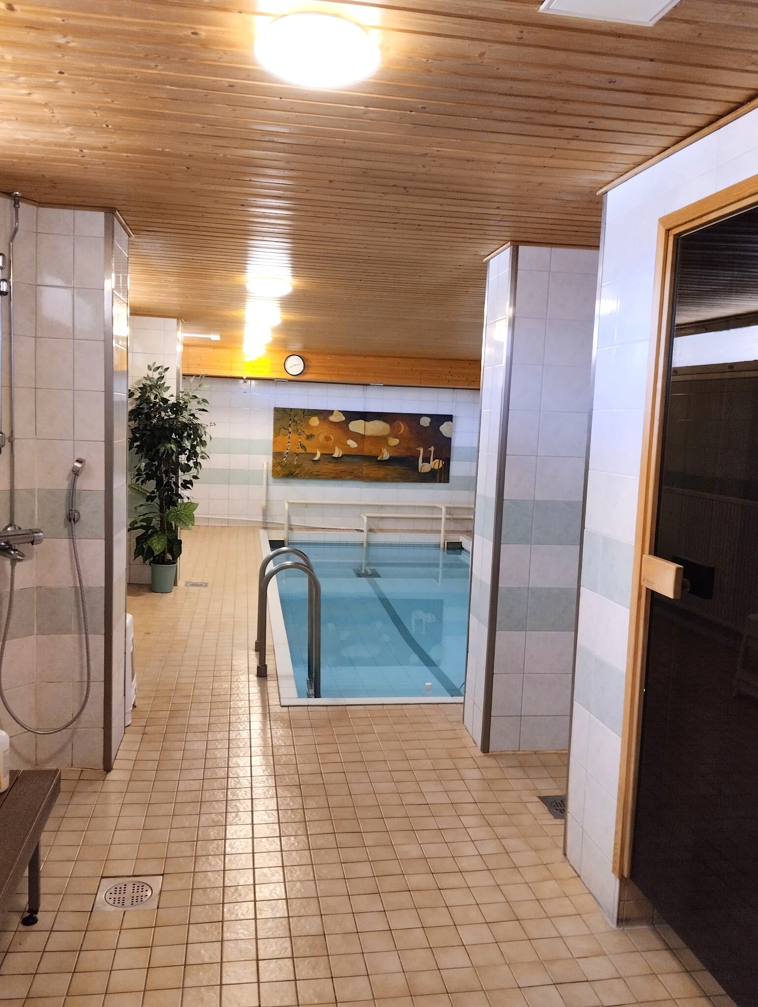Taloyhtiön saunaosasto