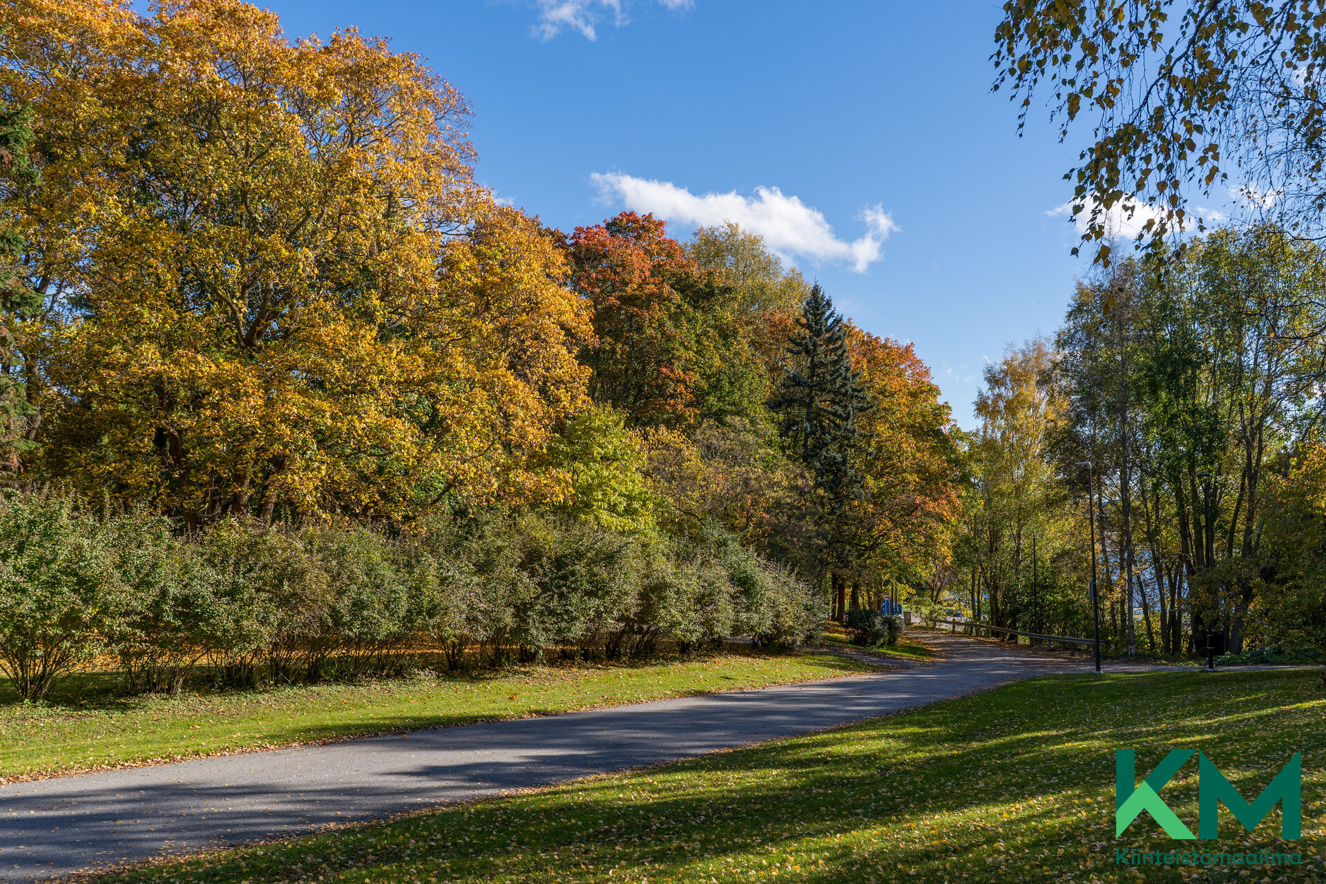 Eteläpuistoa