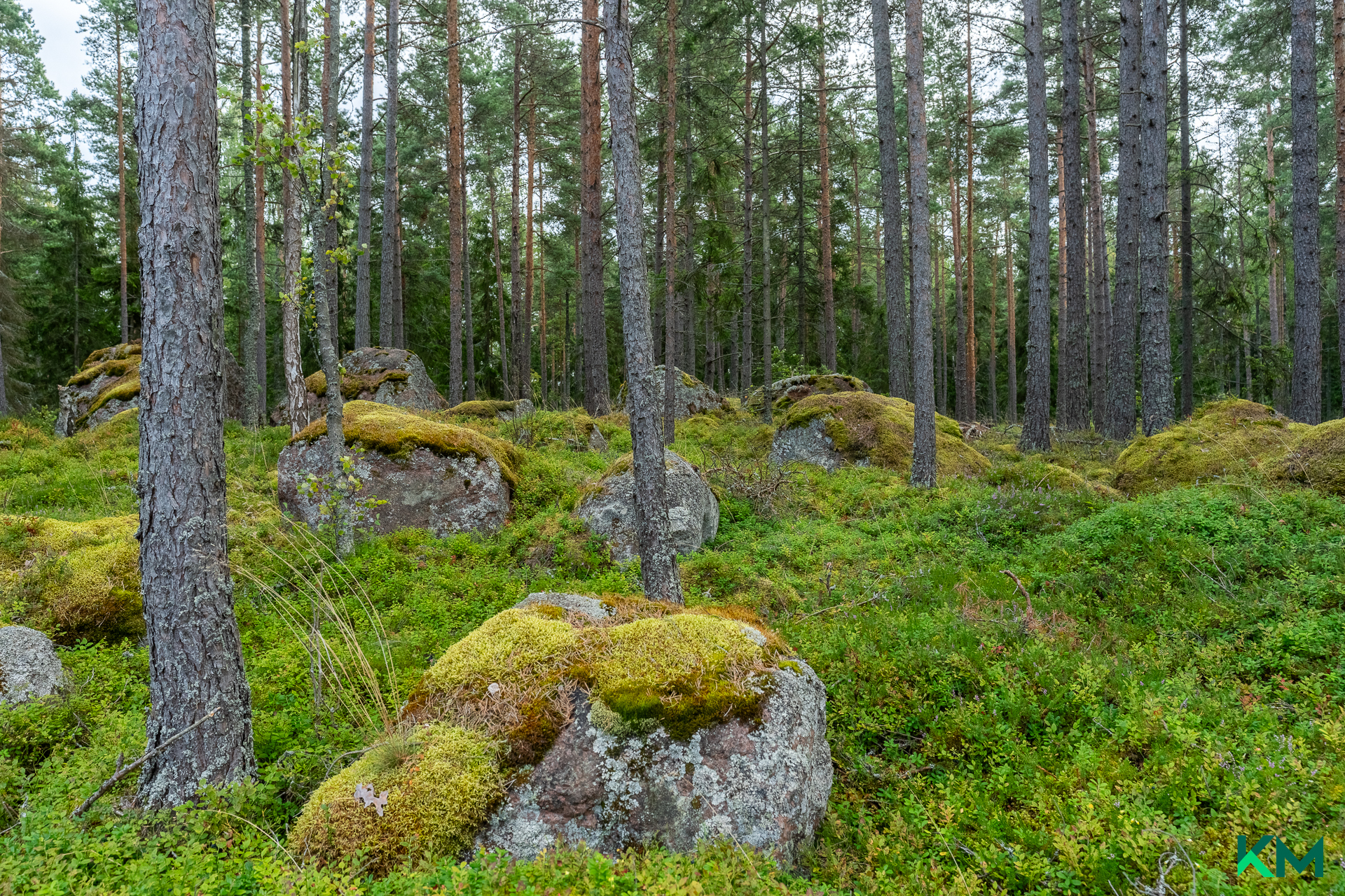 Saaren sisäosat kutsuvat seikkailemaan metsään