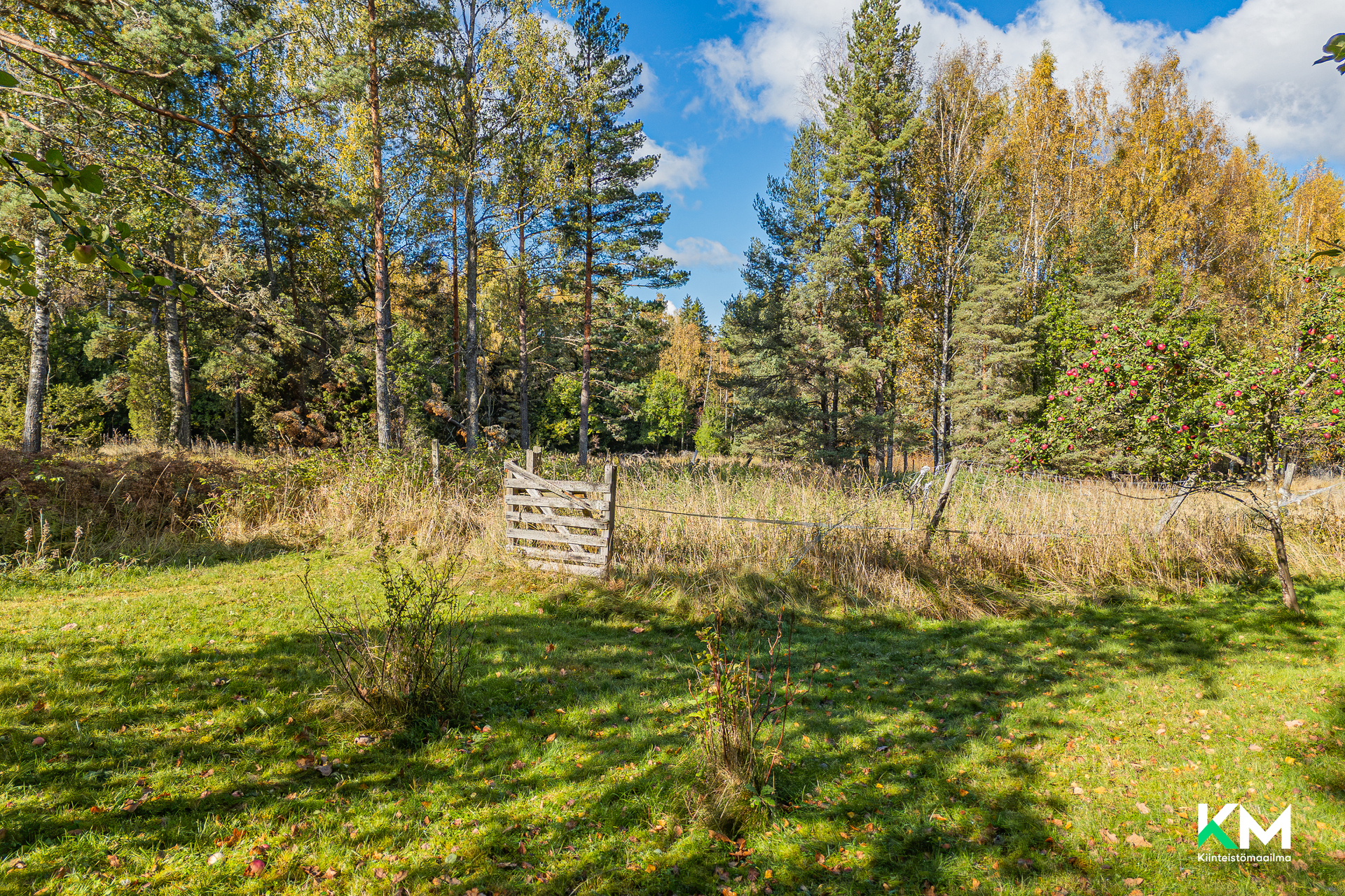 Kärrbyntie 160, Tammisaari, Raasepori