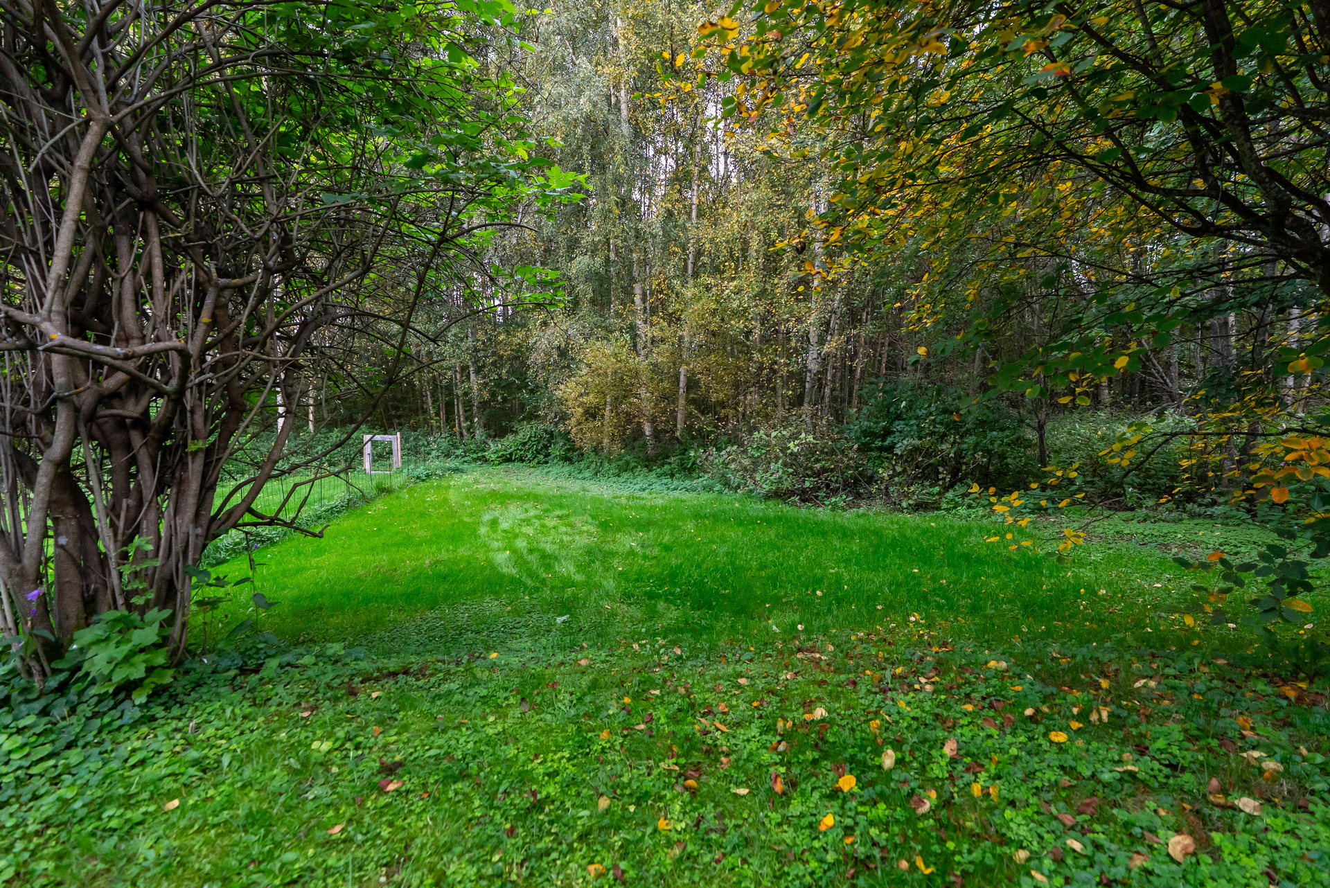 Riihivainiontie 14, Riihivainio, Kempele