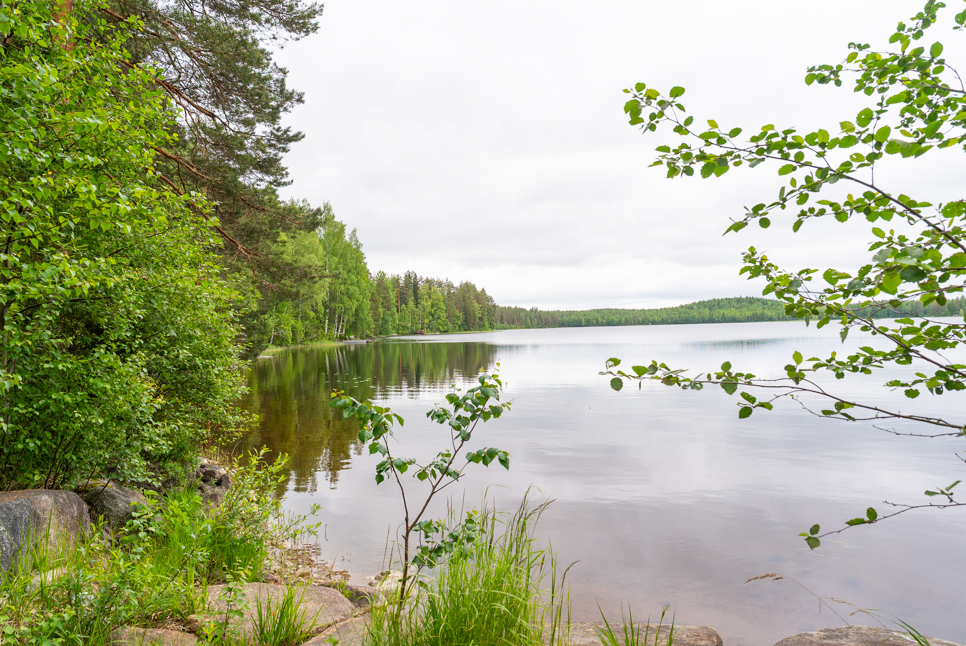 Pyhäniementie 17, Kintaus, Petäjävesi
