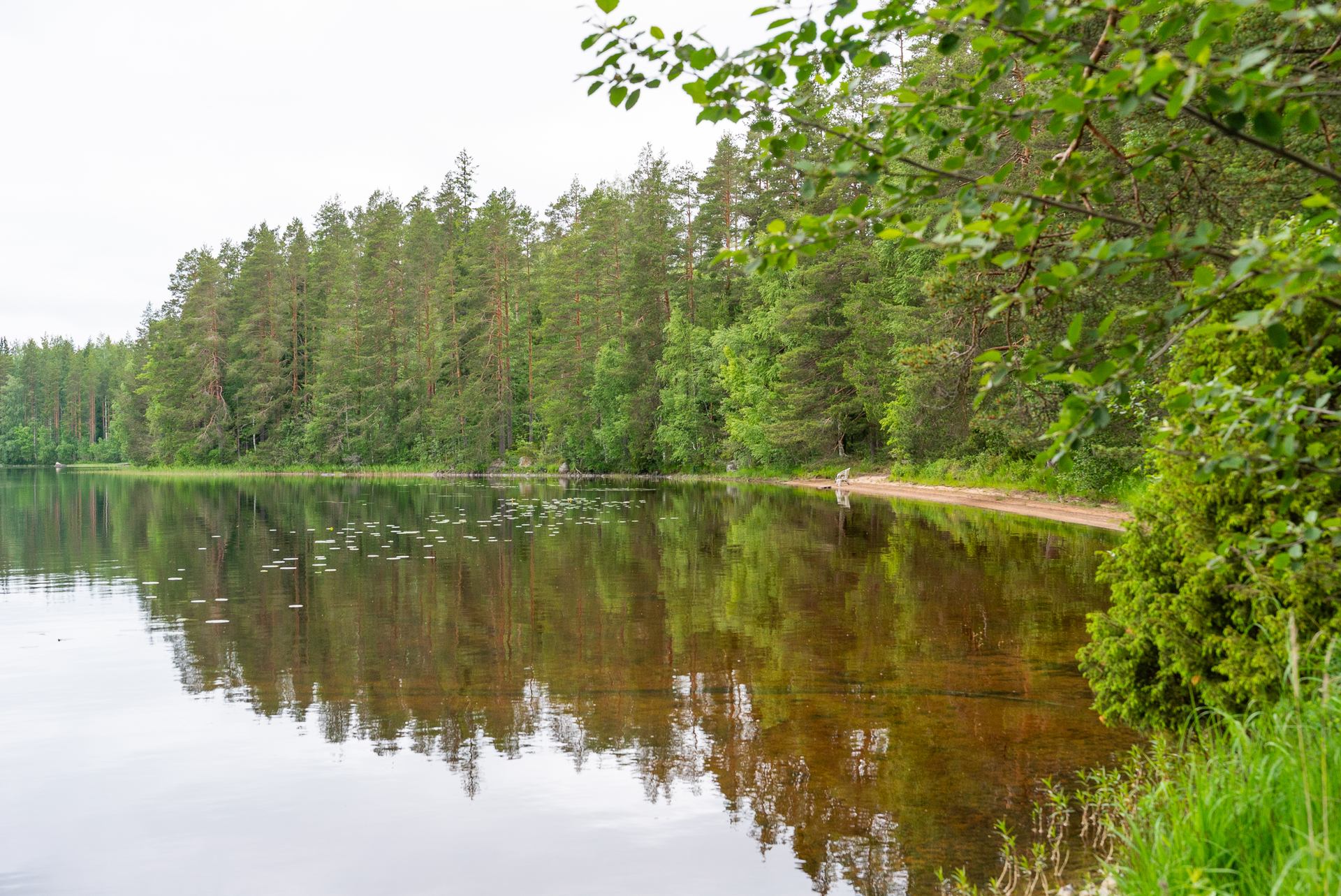 Pyhäniementie 17, Kintaus, Petäjävesi