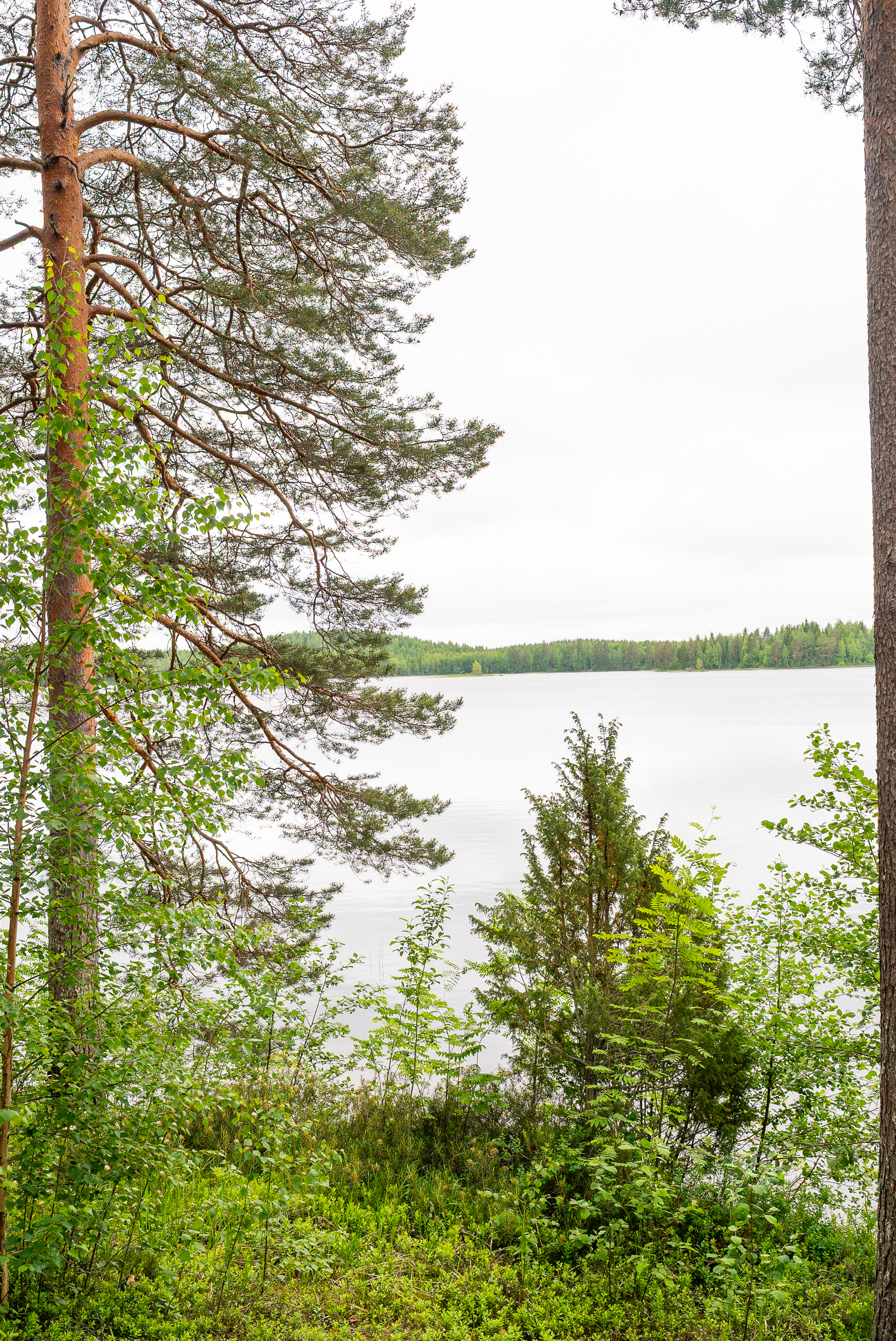 Pyhäniementie 17, Kintaus, Petäjävesi