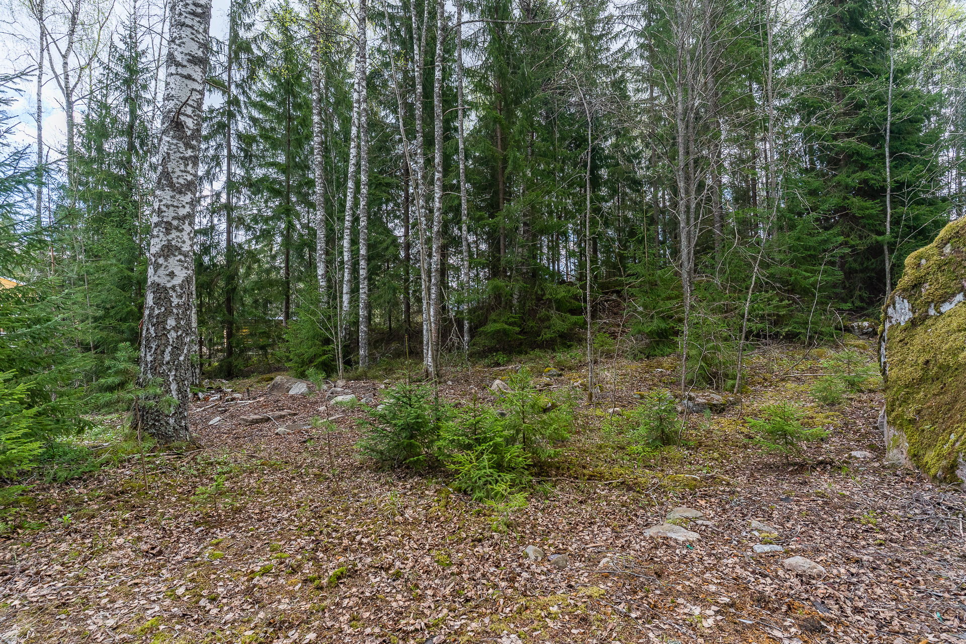 Lugnnäsinkuja 25, Hagalund, Sipoo