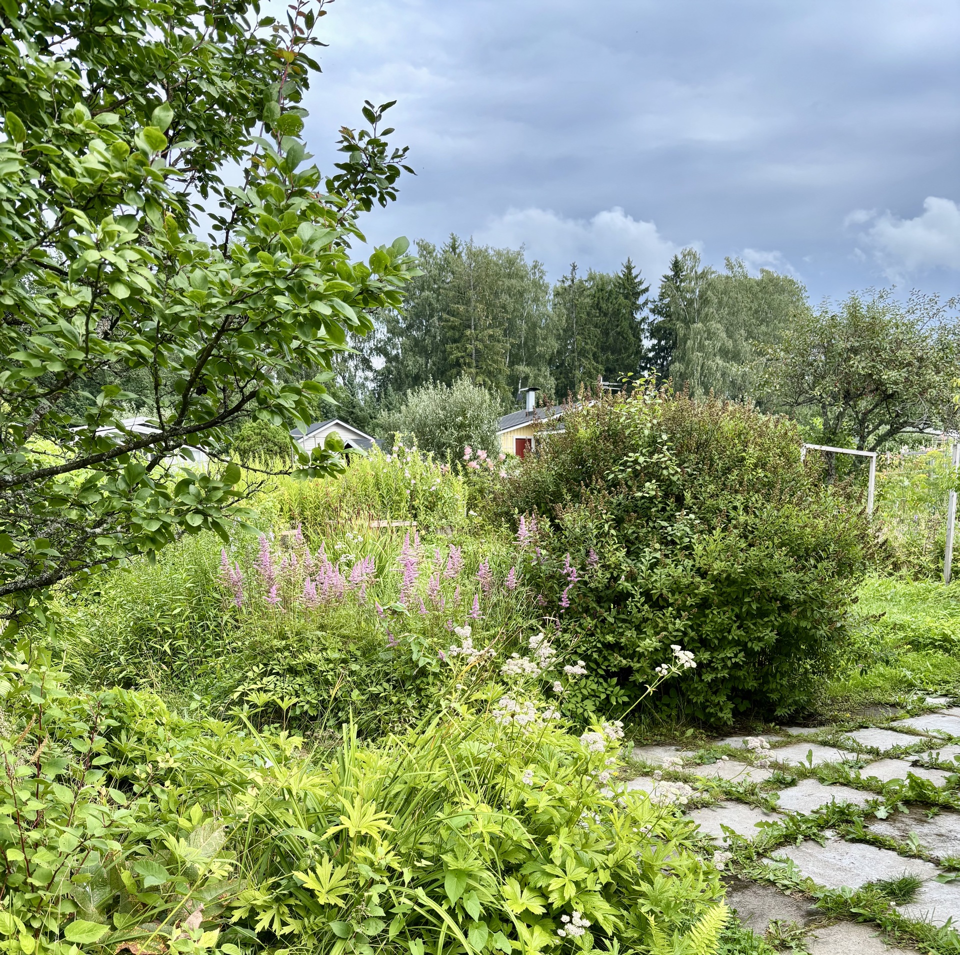 Primulapolku 148, Oulunkylän siirtolapuutarha, Myllypellontie 6, Veräjälaakso, Helsinki