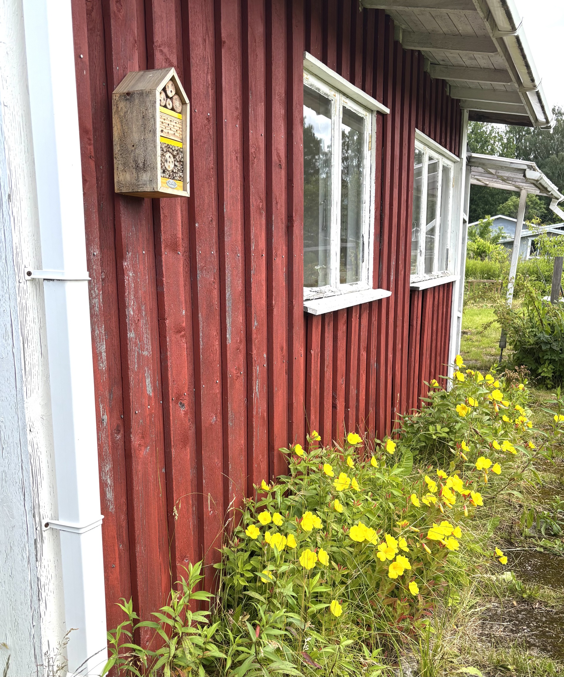 Primulapolku 148, Oulunkylän siirtolapuutarha, Myllypellontie 6, Veräjälaakso, Helsinki