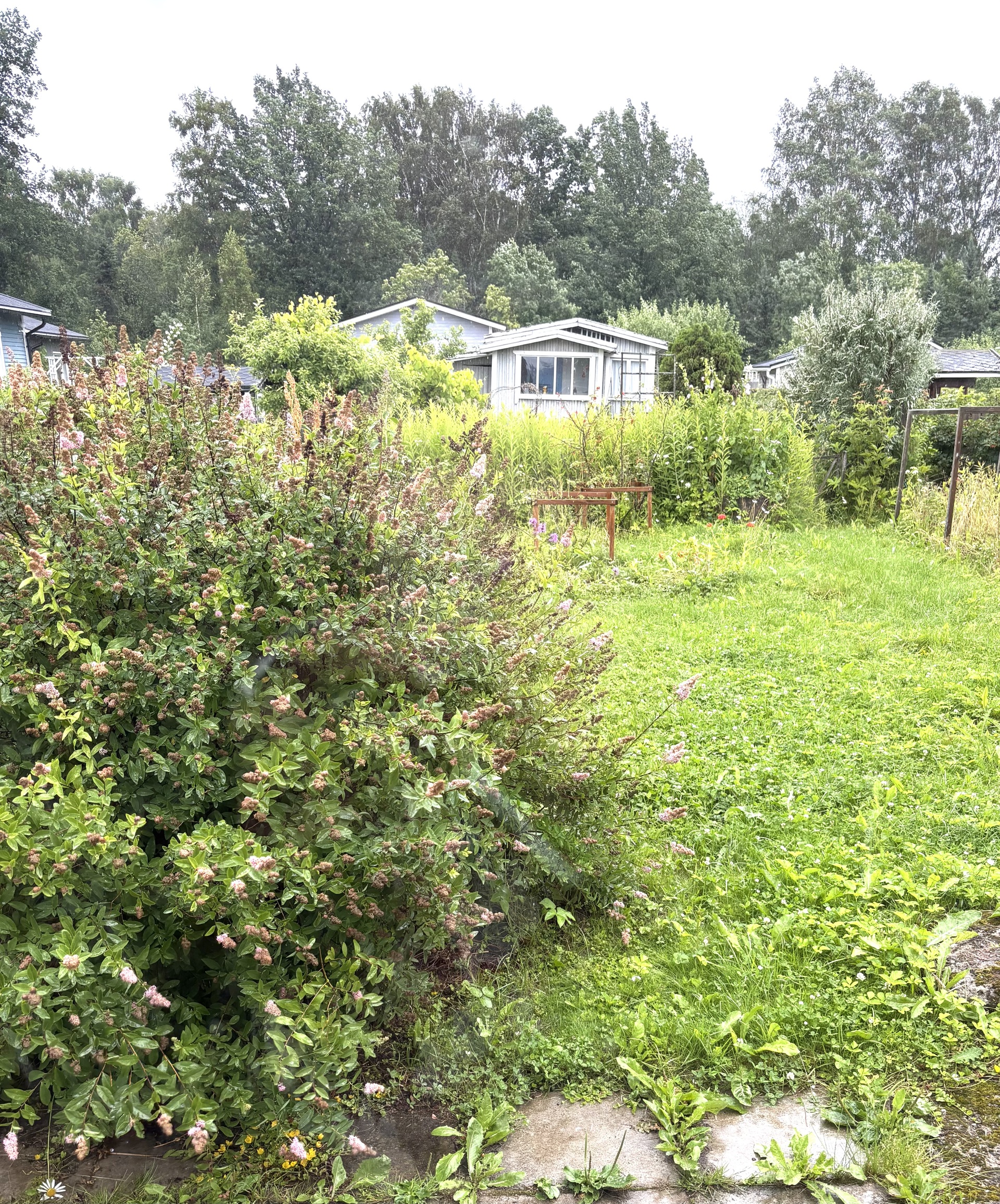 Primulapolku 148, Oulunkylän siirtolapuutarha, Myllypellontie 6, Veräjälaakso, Helsinki