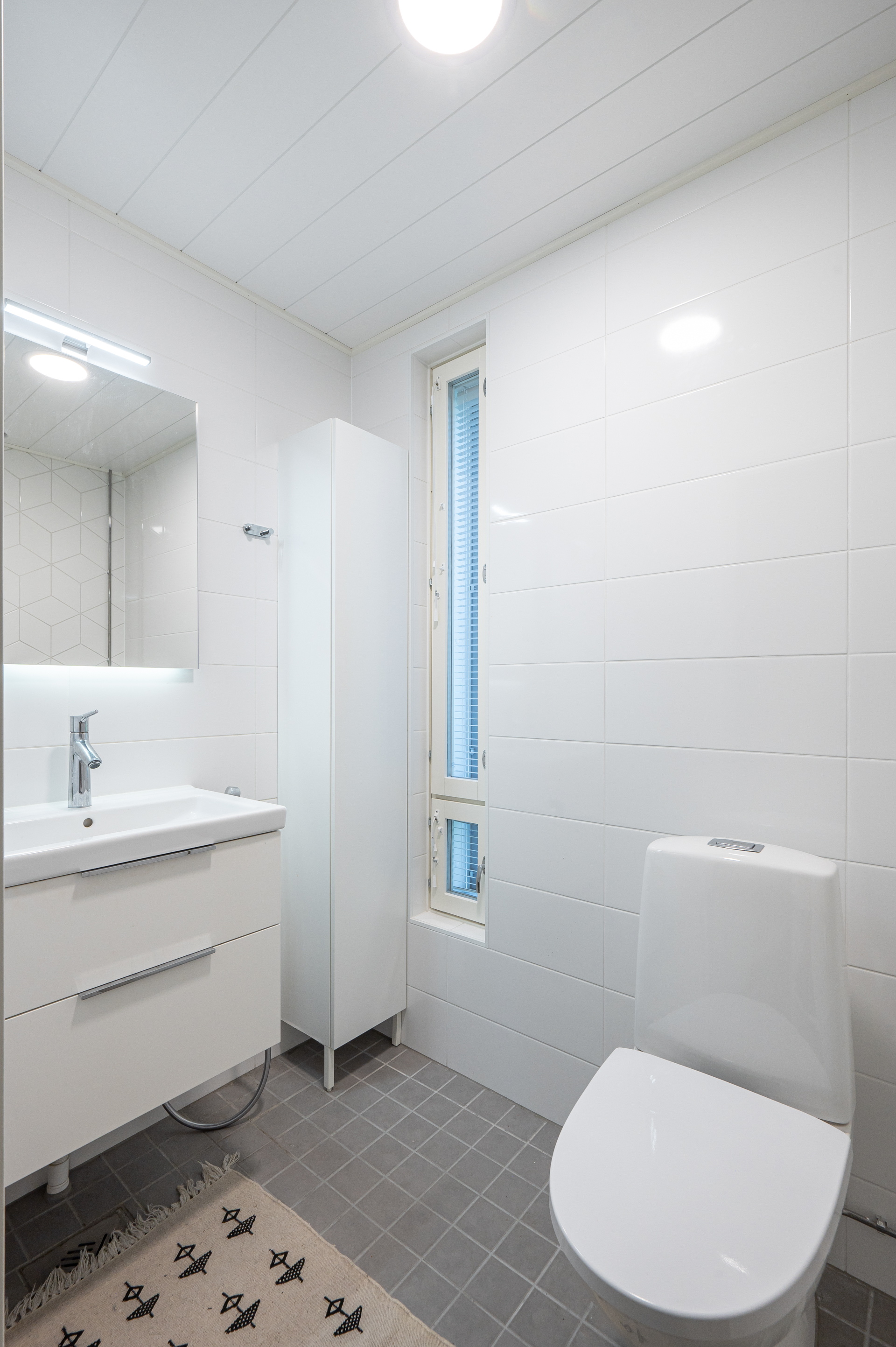 Erillinen wc