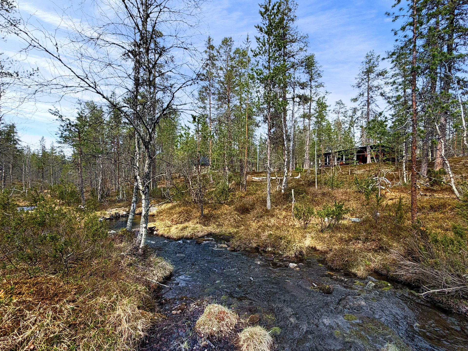 Rönkönoja virtaa lähettyvillä