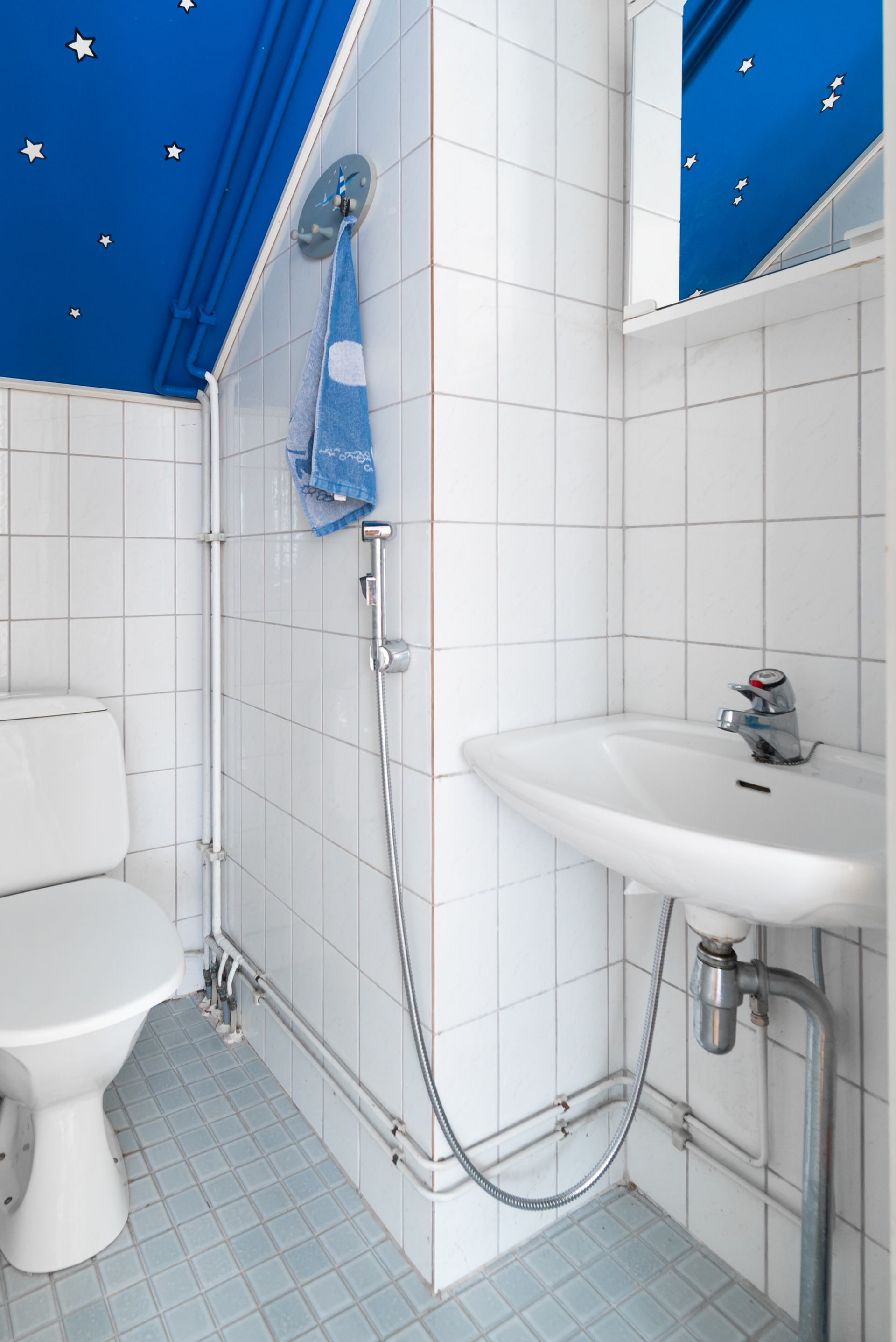 Toinen erillinen wc