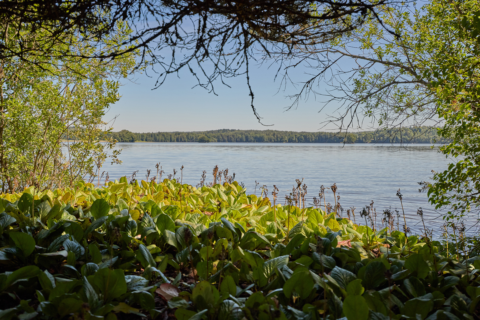 Mustasaari , Kirkniemi, Lohja