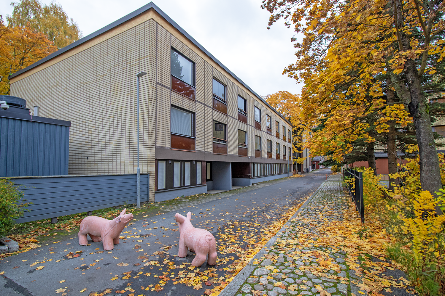 näkymä olohuoneen ikkunasta