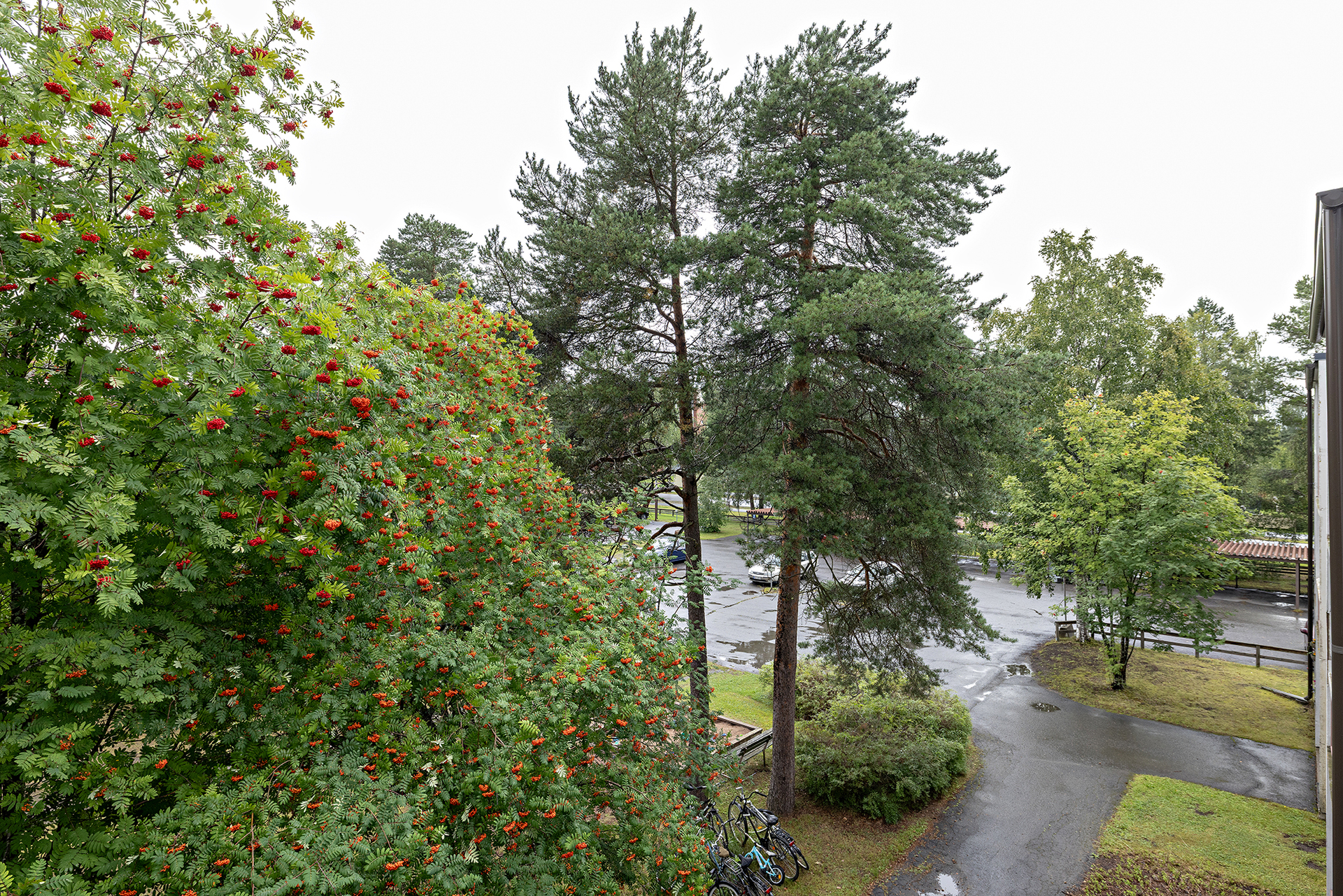 Kaitoväylä 24, Kaijonharju, Oulu
