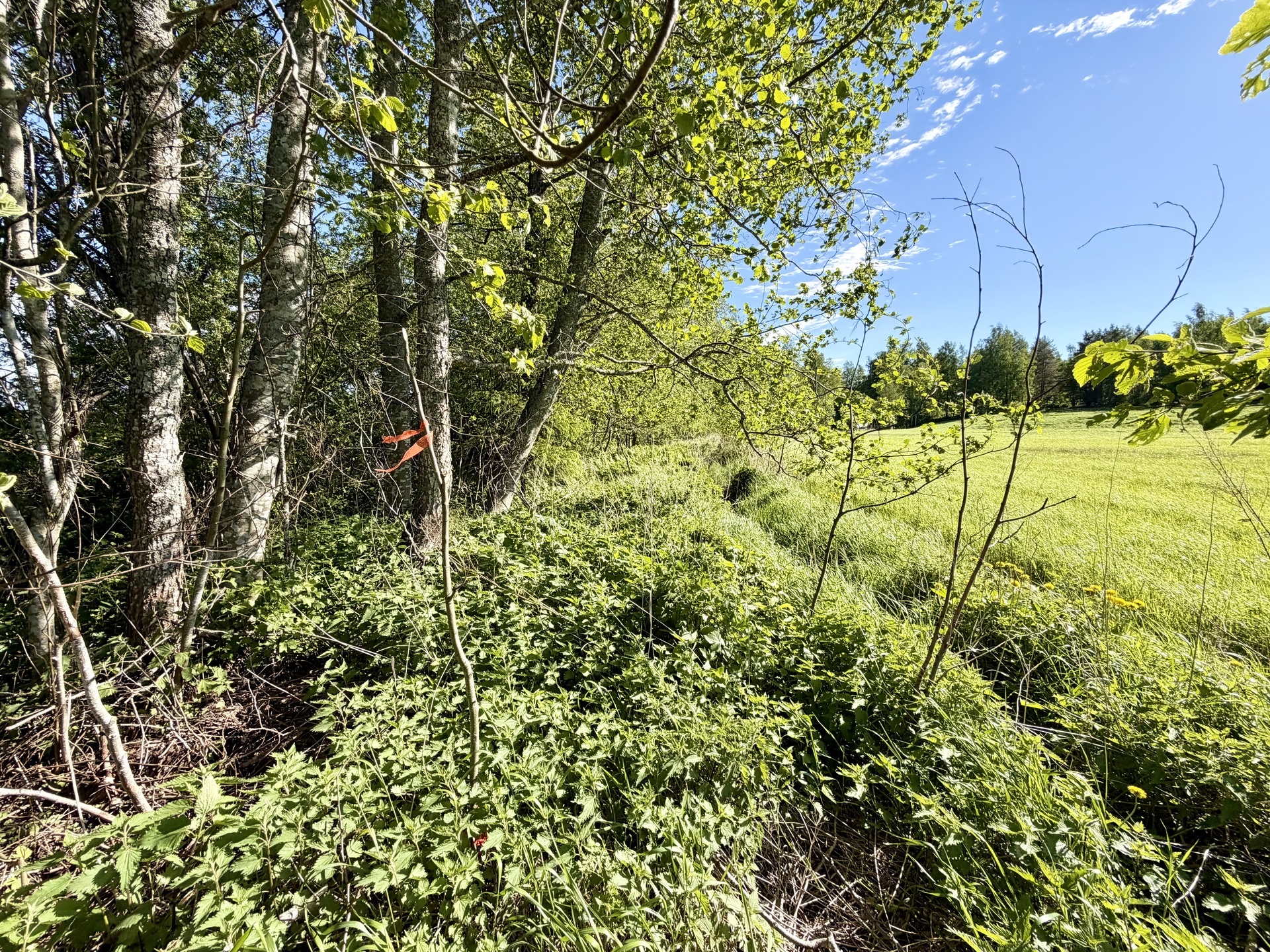 Pälkäneentie 2360, Alvettula, Hämeenlinna