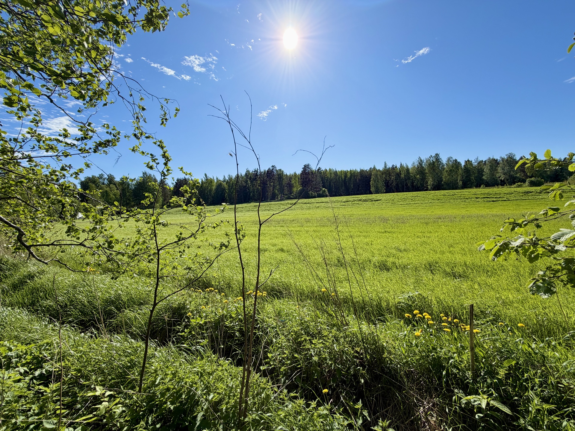 Pälkäneentie 2360, Alvettula, Hämeenlinna