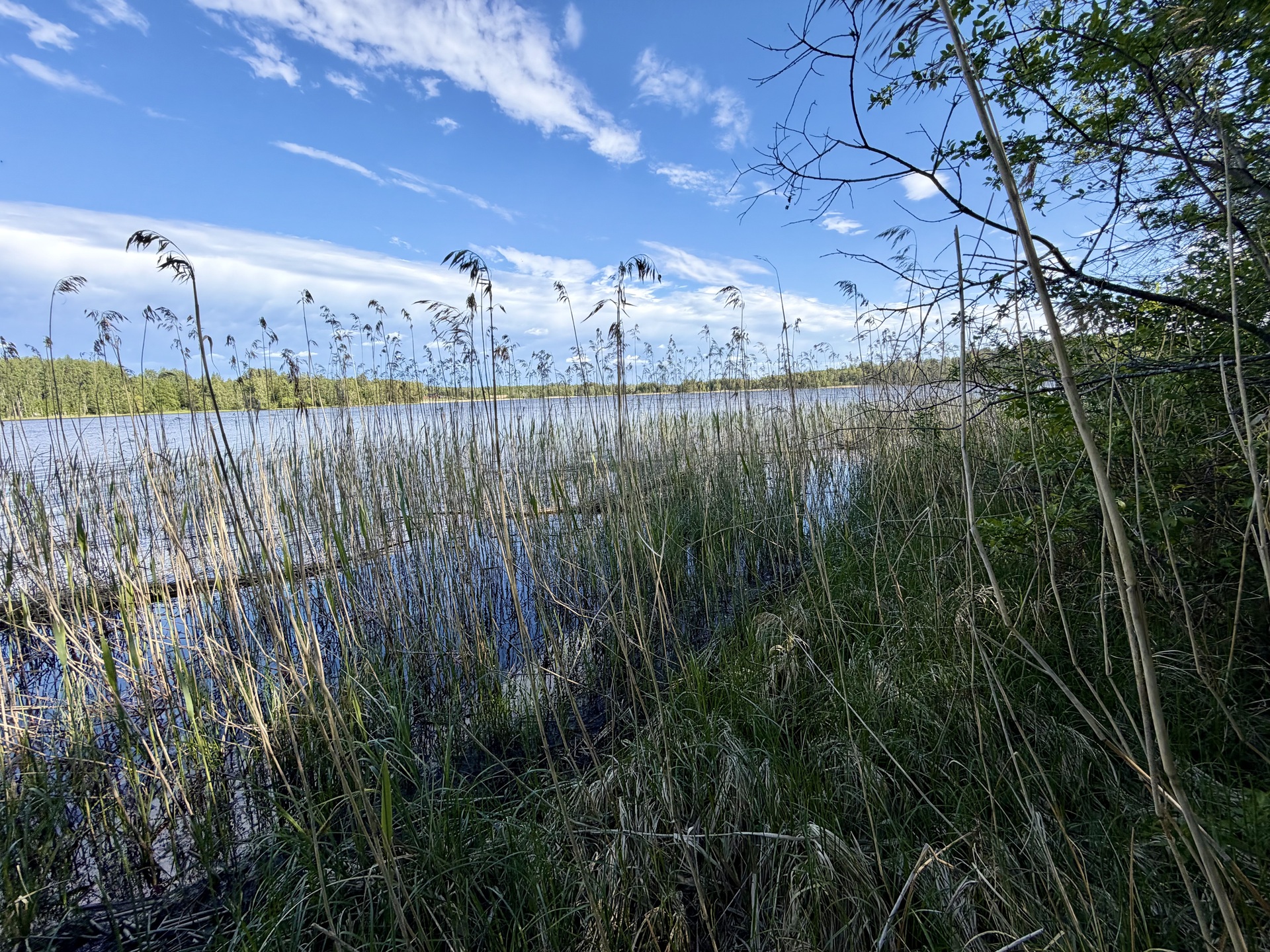 Pälkäneentie 2360, Alvettula, Hämeenlinna